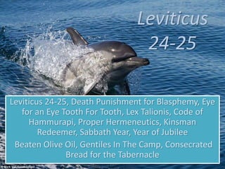 Leviticus
24-25
Leviticus 24-25, Death Punishment for Blasphemy, Eye
for an Eye Tooth For Tooth, Lex Talionis, Code of
Hammurapi, Proper Hermeneutics, Kinsman
Redeemer, Sabbath Year, Year of Jubilee
Beaten Olive Oil, Gentiles In The Camp, Consecrated
Bread for the Tabernacle
 