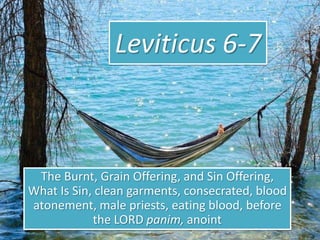 Leviticus 6-7
The Burnt, Grain Offering, and Sin Offering,
What Is Sin, clean garments, consecrated, blood
atonement, male priests, eating blood, before
the LORD panim, anoint
 