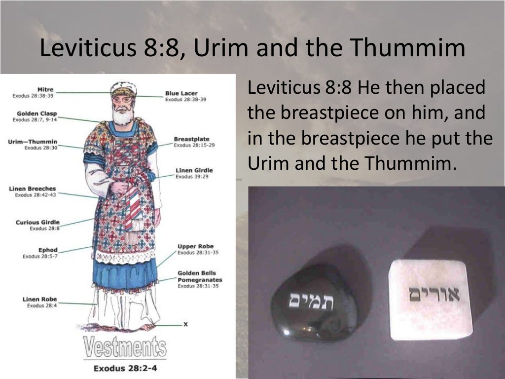 Leviticus 89, Aaron and His Sons Ordained, Priests Ministry Begins,