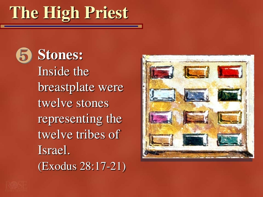 Leviticus 89, Aaron and His Sons Ordained, Priests Ministry Begins,