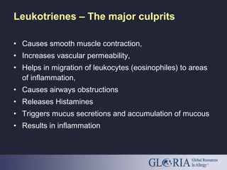 Leukotrienes – The major culprits
• Causes smooth muscle contraction,
• Increases vascular permeability,
• Helps in migration of leukocytes (eosinophiles) to areas
of inflammation,
• Causes airways obstructions
• Releases Histamines
• Triggers mucus secretions and accumulation of mucous
• Results in inflammation
 