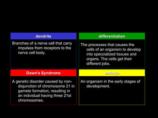 dendrite                           differentiation
Branches of a nerve cell that carry   The processes that causes the
   impulses from receptors to the        cells of an organism to develop
   nerve cell body.                      into speccialized tissues and
                                         organs. The cells get their
                                         different jobs.

        Down's Syndrome                            embryo

A genetic disorder caused by non-     An organism in the early stages of
   disjunction of chromosome 21 in       development.
   gamete formation, resulting in
   an individual having three 21st
   chromosomes.
 