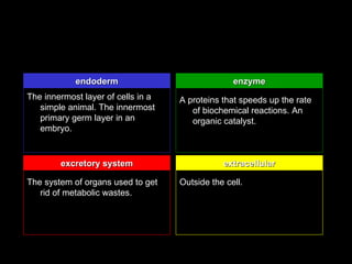 endoderm                              enzyme
The innermost layer of cells in a   A proteins that speeds up the rate
   simple animal. The innermost        of biochemical reactions. An
   primary germ layer in an            organic catalyst.
   embryo.


        excretory system                       extracellular

The system of organs used to get    Outside the cell.
   rid of metabolic wastes.
 