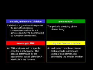 meiosis, meiotic cell division                    menstruation
Cell division in gonads which separates
                                          The periodic shedding of the
    the pairs of homologous
    chromosomes and results in 4             uterine lining.
    gametes each having the monoploid
    (n) number of chromosomes.


          messenger RNA                      negative feedback system

An RNA molecule with a specific           An endocrine control mechanism
   code for a polypeptide. This              that responds to increased
   code is determined by the                 levels of one hormone by
   sequence of bases of the DNA              decreasing the level of another.
   molecule in the nucleus.
 