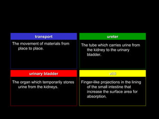 transport                                ureter
The movement of materials from       The tube which carries urine from
   place to place.                      the kidney to the urinary
                                        bladder.



         urinary bladder                              villi

The organ which temporarily stores   Finger-like projections in the lining
   urine from the kidneys.              of the small intestine that
                                        increase the surface area for
                                        absorption.
 