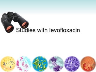Studies with levofloxacin 