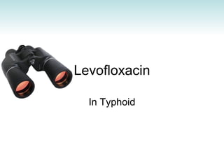 Levofloxacin In Typhoid 