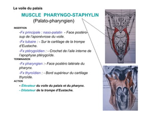 Le Voile Du Palais PDF Le Voile Du Palais PDF