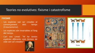 Teories no evolutives: fixisme i catastrofisme
FIXISME
- Les espècies van ser creades al
començament dels temps
(Creacionisme).
- Les espècies són invariables al llarg
del temps.
- Carl von Linné: “Hi ha tantes
espècies diferents com formes de
vida van ser creades”
 