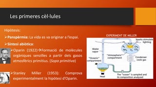 Les primeres cèl·lules
Hipòtesis:
Panspèrmia: La vida es va originar a l’espai.
Síntesi abiòtica:
Oparin (1922)Formació de molècules
orgàniques senzilles a partir dels gasos
atmosfèrics primitius. (Sopa primitiva)
Stanley Miller (1953): Comprova
experimentalment la hipòtesi d’Oparin.
EXPERIMENT DE MILLER
 