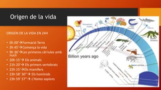 Origen de la vida
ORIGEN DE LA VIDA EN 24H
• 0h 00’Formació Terra
• 3h 45’Comença la vida
• 9h 36’Les primeres cèl·lules amb
nucli
• 20h 15’ Els animals
• 21h 20’ Els primers vertebrats
• 22h 15’Els mamífers
• 23h 58’ 30’’ Els homínids
• 23h 59’ 57’’ L’Homo sapiens
 