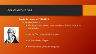Teoria de Lamarck (1744-1829)
Principis evolutius:
• Els éssers vius tenen una tendència innata cap a la
complexitat.
• Llei de l’ús i el desús dels òrgans.
• La funció crea l’òrgan.
• Herència dels caràcters adquirits.
Teories evolutives
 