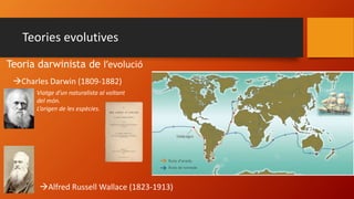 Teories evolutives
Charles Darwin (1809-1882)
Teoria darwinista de l’evolució
Viatge d’un naturalista al voltant
del món.
L’origen de les espècies.
Alfred Russell Wallace (1823-1913)
 