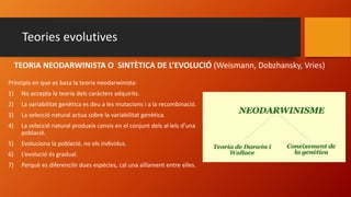 Teories evolutives
Principis en que es basa la teoria neodarwinista:
1) No accepta la teoria dels caràcters adquirits.
2) La variabilitat genètica es deu a les mutacions i a la recombinació.
3) La selecció natural actua sobre la variabilitat genètica.
4) La selecció natural produeix canvis en el conjunt dels al·lels d’una
població.
5) Evoluciona la població, no els individus.
6) L’evolució és gradual.
7) Perquè es diferenciïn dues espècies, cal una aïllament entre elles.
TEORIA NEODARWINISTA O SINTÈTICA DE L’EVOLUCIÓ (Weismann, Dobzhansky, Vries)
 