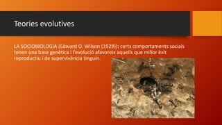 Teories evolutives
LA SOCIOBIOLOGIA (Edward O. Wilson (1929)): certs comportaments socials
tenen una base genètica i l’evolució afavoreix aquells que millor èxit
reproductiu i de supervivència tinguin.
 