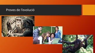 Proves de l’evolució
 