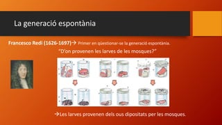 Francesco Redi (1626-1697) Primer en qüestionar-se la generació espontània.
“D’on provenen les larves de les mosques?”
La generació espontània
Les larves provenen dels ous dipositats per les mosques.
 
