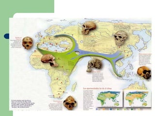 Isabel Ribas L’evolució de l’espècie humana | PPT