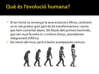 El ser humà va començar la seva evolució a Àfrica, continent

    on es van produir gran part de les transformacions i canvis que
    hem comentat abans. Els fòssils dels primers homínids, que
    van viure fa entre 6 i 2 milions d'anys, procedeixen
    íntegrament d'Àfrica.
    No venim del mico, però sí tenim avantpassats comuns.

 