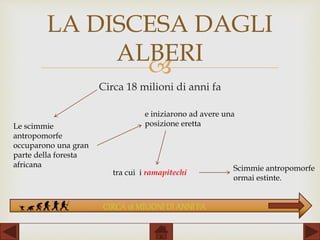 
Circa 18 milioni di anni fa
LA DISCESA DAGLI
ALBERI
Le scimmie
antropomorfe
occuparono una gran
parte della foresta
africana
e iniziarono ad avere una
posizione eretta
tra cui i ramapitechi
Scimmie antropomorfe
ormai estinte.
CIRCA18 MILIONI DI ANNI FA
 