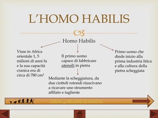 
L’HOMO HABILIS
Homo Habilis
Il primo uomo
capace di fabbricare
utensili in pietra
Visse in Africa
orientale 1, 5
milioni di anni fa
e la sua capacità
cranica era di
circa di 780 cm³
Mediante la scheggiatura, da
due ciottoli rotondi riuscivano
a ricavare uno strumento
affilato e tagliente
Primo uomo che
diede inizio alla
prima industria litica
e alla cultura della
pietra scheggiata
CIRCA1,5 MILIONEDI ANNI FA
 