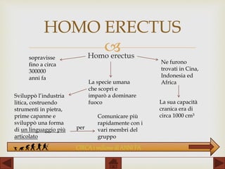 
HOMO ERECTUS
Homo erectus
La specie umana
che scoprì e
imparò a dominare
fuoco
sopravisse
fino a circa
300000
anni fa
Ne furono
trovati in Cina,
Indonesia ed
Africa
La sua capacità
cranica era di
circa 1000 cm³
Sviluppò l’industria
litica, costruendo
strumenti in pietra,
prime capanne e
sviluppò una forma
di un linguaggio più
articolato
per
Comunicare più
rapidamente con i
vari membri del
gruppo
CIRCA1 milione di ANNI FA
 