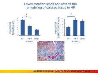 Levosimendan drug discovery and pharmacology | PPTX