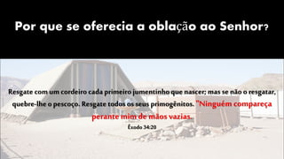 Por que se oferecia a oblação ao Senhor?
Resgate com um cordeiro cada primeiro jumentinhoque nascer; mas se não o resgatar,
quebre-lhe o pescoço. Resgate todos os seus primogênitos. "Ninguém compareça
perante mimde mãos vazias.
Êxodo 34:20
 
