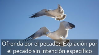 Ofrenda por el pecado: Expiación por
el pecado sin intención específico
 