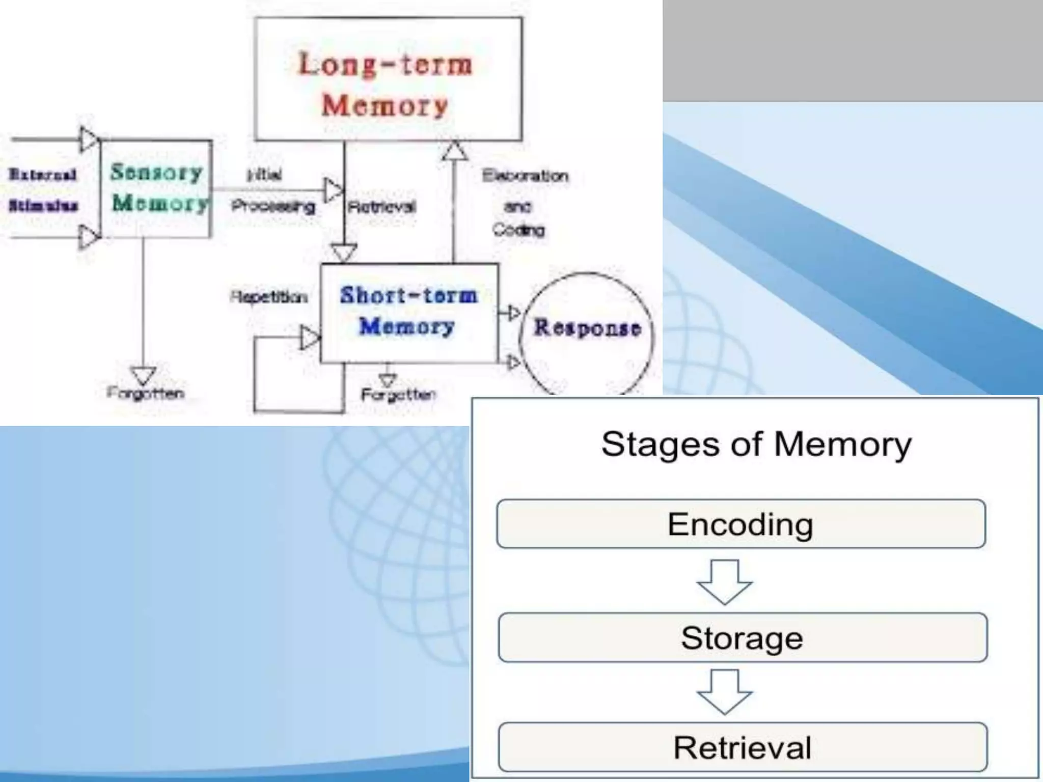 Lev vygotsky learning theory