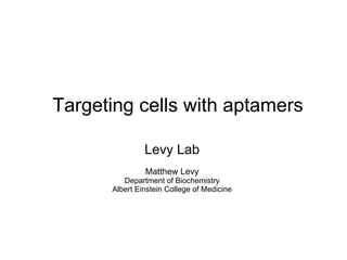 Levy Lab Matthew Levy Department of Biochemistry Albert Einstein College of Medicine Targeting cells with aptamers 
