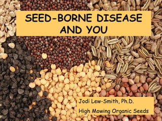 SEED-BORNE DISEASE
AND YOU

Jodi Lew-Smith, Ph.D.
High Mowing Organic Seeds

 