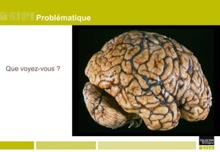 Problématique

Que voyez-vous ?

 