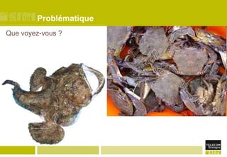 Problématique
Que voyez-vous ?

 