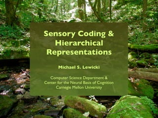 Sensory Coding &
   Hierarchical
 Representations
        Michael S. Lewicki

   Computer Science Department &
Center for the Neural Basis of Cognition
      Carnegie Mellon University
 
