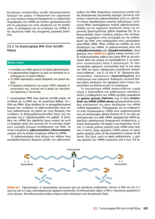(euydpopo vourtreotr6(ov preto(0 onoporpuotrrdvov
neprolti:v rou pop(ou. H 6repe0vrloq tov prqlovto;rtirv
Ue rouq ono[oug onoKpurnoyporpoUwot ot puOptoru<dg
nLqpo<pop(eg rou mRNA ror ror6ntv Xprlotponorofwot
on6 ro pqlovrop6 nou e(vqr une60uvog yto rnv onod6-
Unon, rn ;retdgpoorl Kqt rov ewontopt6 tou mRNA e(-
vor onUowr.K6 ne6(o qg oriylpovqg poptorfg Bto],o-
Y(oq.
22.2 To AyyeArog6po RNA Eivor Aoro0ri
M6pro
r H oord0ero rou mRNA orpeitreror oq Opdon p$ovouxtreoodrv.
o 0r pt9ovouxtreooeq drotpdpouv oq rpoq rrlv npoqrloq yto ro
undmpopo rot rov rpdno en[0eor1g.
o To mRNA nopouord(ouv eupe[o drorupovon Tov Xpdvtov nut-
(tons.
o H drorpoptxrl oro0epdrrlro rov ;rop(ov mRNA ennped(et rn
ouyxdvrptooq roug, ouven6g ror ro rpool-ro rov nptoreivtitv
nou nopdyovror o' 6vo rUrropo.
T' oyyelrog6po RNA e[vot q4enrd ooro0rl p5pto, oe
ow(0eoq pre to DNA Kor, oe plxp6repo Bo096, to r-
RNA r<or IRNA. E(vor o).r1Oero 6l or <pootpodteoteptro(
6eopro( nou ouvdSouv to prBovour<treot[6to e[vqt t<6-
nog oo0ev6orepor oe o16or; Ue rouq 6eopo0g nou
ouv6Souv ro 6eo(uprBovoux.l.eor(6ro L6yro rnq no-
pouo(og rnq 2' udpo[u].opr66og orr'1 ptp6En. H oord-
0ero rou mRNA 6ev oqefteror 6prog rup(tog oe outq
rq drogopd oMd oro yeyov6g 6rr ro rfrropo nept6-
Xouv 1luprd6o 6v(uprov ono66;rqoqg rou RNA, to
ono(o ovoprd(owor pr povouxtredoeg (ri bonucleases),
prepx6g on6 rrg ono(eg oroleUouv er6xd"ro mRNA.
Or prBovouxtredoeg e(vor 6v(upro nou r6Bouv toug
groogodemepxorig 6eo;ro(g prero[ri rrov ptBovouxtre-
on6(olv oro RNA. Eprgov((ouv erepoydvao enedrlnd-
l,5g 6rogoperx6g nporeivtr6g neptoX6g (domains) od-
Krnoov evepy6qto ptBovouxtredorlg r<otd rnv eqffuqrl.
Tq ondvto nopodefu;roro yvoordlv prBoev(fpttov (xcro-
Luru<d RNA) nepil.ogBdvouv noLL6g ptBovouxhedoeg,
Svder(r1 yro rrlv opXdyovr'1 npoSLeuoq oufiq rqg or1-
prowrrqq 6poorqpr6rrlrog (pL6ne KegdLoto 23). Ot pt-
Bovouxl,edoeg 61ouv nollo0g p6l,oug oro x0r.opo,
roOdrq ouprper6louv srnv owtypo<p4 rot qv enr6r6p-
Ocoor1 rou DNA, mqv enefepyoo(o v5tov geroypdgtov
(pre-mRNA, IRNA, rRNA, snRNA t<ot miRNA) Kqt ornv
onod6gqoq tou mRNA. Or ptBovouxl.edoeg efuot efue
evEoprpovouxtre6oeg efue e[oprBovouxtredoeg, 6nog
rpo(veror or4v EIK0NA 22.2 (Blene eil(onq Ev6tqta 3.2).
Or ev6ovouxtredoeg r6Bouv 6vo g6pto RNA oe pto eoo-
repxq 05oq ror prnope( vo npouno06rouv r1 vo nport-
profv ouyrexprprSvrl 6opn n ol.L4l,ou1(o. Ot e[tr:-
vour<l,e6oeg orpoporiv vouxleot(dto on6 to 5vo 6xpo
rou RNA ror 61ouv ro0optopr6vq roteriOuvoq (notrrr6-
rqro) en(Oeoqg - efue 5'-+3'e(te 3'-+5'. Optol-tdveq e{co-
vourtredoeg nopo;r6vouv npooxotrl4p6veg oto
un6mptotr-ro evc0 orpotpo6v 6to6oXtxd vourtreot(6to,
evrir 6Meg rorotrriouv t4v ogo(peoq ev6q { },fuov vou-
xtreorr6[rov ror 6riorowor on6 to un6mpol;ro.
To neproo6repo mRNA qnoouvt(0evtot rulo(o
(6noq q onooUv0eoll rov po6revepyriv toot6ncov),
on6te 11 oro0ep6rlro rou mRNA ouvrlOcog sr<gpd(etot
rog 1p6vog nyr(oliq (half-time, t1z). O 6pog onooriv-
0eoq rou mRNA (mRNA decay) Xpnorpoilo€fuor ouvrl-
0og evoL..ortrrd rou 6pou ono66prlorl rou mRNA
(mRNA degradation). l-ltrr1pogop(eq yro rrl oroOep&r1-
ro ev6g ouyrexprprdvou mRNA e(vor r<to6txonotqpr6veg
orrq crs-oM4l,ou{eg (BI6ne Ev6qra 22.7) ru dpo 1o-
porcrqprorr<6q tou r<dOe mRNA. Arogopertrd mRNA epr-
Eov((ouv o(roorlpre[oto 6rogopetu<4 oro0ep6tnro, U'
erjpog dtor<riprovorlg 100 eop6q 11 rot nopondvco. Eto E.
coli o runtx6q 1p6vog ng(oiq ev6g mRNA e(vot nep[-
nou 3 tremd, 6pr<oq optoprdvo mRNA prnope( vo 61ouv
Xp6vo qpu(toriq U6fuq 20 6eutep6tremo ri or6trro r<ot 90
Lemd. Irrl (0pr4, xotd tq rpdoq erBldornonq, o Xp6-
vog rlpu(<or1g rov mRNA xupto[vetot on6 3 6tog 100 tre-
'e^* e^4 3
4ro4a s4+/a
Prpovourtreooeg. 0r e(tovourtreooeg treuoupyouv npog ;lro rore0Ouvorl (unidirectional). flenrouv ro RNA e[re ono ro 5'
oxpo e[re ono ro 3'orpo, onetreu0ep6vovroq Eextoproro vourtreor(dro. 0r evdovourtreooeg ropouv ro RNA o' eotoreprro0g rptrrotpodteore-
prrouq deopoUq. Mro evdovourtreool ouvrlOolq oroXeuer etdrreg otrtrr1trouXieq ro/l deureporoyelg 6o;t69.
Ev6ovouxtredorl
tt.? To AyyetrLorpopo RNA Ervor Aoro0l Mopro 629
Boorreg dworeg
E' Q'
EItrlvouxtredoq EIovourtredorl
 