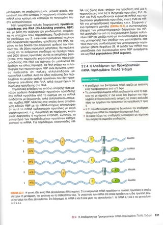 UerdQpoon, rn cnoeep6rnro Kot, UeptK6q Qop6q' rnv
;;,i;n i;, oro r0rropo' H "nuprlut''{
torop(o" ev6g
*nNrn eivot rp(otprrl rot r<oOop((et ro nenpou6vo tou
crro rurroP6ntrooPto.
'Hdn yvop((ou;re nol).6q 6to<popettx6g nproreiVeg
npOoieons'-b nnn (RNA'binding. proteins' RBP)
r.rt, t ; Bdil qv ovdl'uor1 tou rlovtdttiruoto3',ovog6ve-
io,' *- .i"apxouv nol0 neptoo6tepeg' l'1 po BL6nerot 6tt
io VourOfouo rou S. cerevisiae rodtronote( nep(nou
600'6togopettr6g nporetveq np6o6eoqg oro RNA' ne-
pino, .o 6vo 6riroto tou ouvol'tt<o[ opt0pori rov Yovt-
bi,ru -or. Me B6o11 nop6proteg petpqoetq' 0o.nep(pmve
xove(g 6tt to ovOpc0ntvo yovtd(topo vo Tleptexet Tlqvo)
on6 zboo t5toreg npote"weg' AwSq ot errrprioetg Boo(-
io*o, *nu nopouo(o xopoKrnptop6vtov neptoxtiv
ipOoJtons mo RNA roi qo(verot 6tt peLl'owrxd 0o
Bpegofv xot dltreg neptoX5q' To RNA-or61ot xot ot tr'et-
i5;;Gs;;" neptoo6tepcov RBP efvot 6Yvooro' coor6-
oo' n,ott,it-oi 6., nolL6g o)'l'r1l'ent6poriv Ue
npo-mRNA n mRNA. Aut6 to e(5og ov6}'uor1g 6ev nept-
LoprBdvet to peydtro opt0p6 npcote'twilv nou 6ev npoo-
6rivowot oneuOe(oq mo RNA, otrLd oup;ret6Xouv oe
o6pnl,oro nP6o6eorlq oro RNA'
- -'inuo*,^gg
ev6e(ietq yto to tr6yo [-nop(r1g t6oo pe-
VoLou opt0poti 6toEopetrr<6v npoteivdlv np6o6eo4q
*o ,nrtfn'nporj).0ov on6 to eUpq;ro orl ro mRNA
ouvd6owot pe (eXo ptor6q, o)}'6 otr'rlLoenu<otrum6 ge-
veq, oUaOeS nee.- Vtel,etag ortg ono(eg 6ywe owtoro(-
Xrol etdtr<rirv RBP pe ro mRNA-or61ouq onordLuqUov
6tr owd to mRNA rtodrxonoro(v nptoretvsg pe xowd
XqpoKrrlptfixd, n.x' ouprpretopi oe nop6Uoteq Kurro-
ii'lgi o"pvoo(eq 11' nop6ptoto ew6ntorl' ..ruvendrq'
to
penept6pto trov npoodedepr5vtov npolteivrilv KornYo-
bil"J,tito mRNA. l-to nopd6etygo, erotowd6eq mR-
NA tqg (ri;rqq e(vot 'or6xot" yto np6o6eo- ::: * : "
"tptLbitptg
on6 ttg 6 ouyyeve(g npcltarvac = -- :
Puft xot Puf2 npoodevowot rup(o:g oe mRNA :3- '--
6rxonototiv trreprBpovtr<6q npultetveg' evrrl 11 Puf3 oo -:-
NA yto 1-tttolov6ptot<6g npotetveq K'o'K IUptcptrlvo *
ero iiJ*,p"io pow6tro o ouwovtopevoq
6eyXoq rov Ueroperoypotprxov dtepyoottilv tou mR-
r.rn ir"ooLoBe(toL on6 rn ouYxpovtog6vq 6pdoq noMo-
niiu nap rot ;-rotd(et notr0 pre ro ouwovtou5vo eleyxo
-ni ur-ovpoqrlq trov yovt6(trrv nou geoo)'oBekot on6
-ouq or-o,ig ouv6uool.toriq tov ;ietoypocptr<dlv nopo-
V6wrov (B).6ne Keqdtroro 28 H opd6o trov mRNA nou
uotoo(owot dvo ouyxerptp5vo tUno RBP ovo<p5petot
Kor'coq' RNA peyxoulovro (RNA regulon)'
22.4 H Ano66pnon T(DV l'lpoKclpuoTlKdv
mRNA I'lePrAoUBdv€l noAAo'Ev(uPo
* H onodourlorl rolv porrrlptor(rv mRNA opx((et pe oqoipeorl
evog nuporpolotpopLro0 on6 ro 5'orpo'
* To Uoro,pro,poputrttrl;t6vo mRNA onodogo0vrot xoro rn 6top-
Keto Tlq UeroQpoonq o' tlvo xurtro 6uo Bnportov nou nept-
ioUpdr" ev6ovourtreotrurLr6g evio;t6g, rtg onoieg orolou0el
neqtn rov rprlgdtirlv nou nporunrouv oe roteu0uvon 3'npoq
tr
a H 3'notruodevutr(toot1 pnope( vo Dteuro)'0vet rrlv onoOoprlorl
rtrooporulv mRNA nou nepteXouv deureporoYrl 6oUI'
* Tu x0pto rlv(upo rrlg onodounonq )'etroupyouv toq ouptntroro
nou ovoprd(erot otr:1tot[Dto ono6oUnorlq'
, H yevtrl rorio svoq RNA peyroutroviou (RNA regulon). rro europu0rtro mRNA npooorlvovtot notrteq npoTeiveq 0t oflottq
.i.eyxouv rr1 perorppoorl, ,nu r*in,on roLq oro'eporrro rouq. To unoouvo),0 rov mRNA oro ono[o npoob.veror 11 rbto nptrlrelvq
'eo-
: eiror rplpo rou lbtou peyroutroviou. Iro DLoYpoUUo, ro mRNA o rot 0 elvot Uepr] rou peyrou]'ov(ou 1
'
ro mRNA 0' Y K.t 0 rou peyroutrovi-
- r 2 r.o.r.
2?.4 H Anooounon ttrlv l-lpoxopucorrxtilv mRNA t]eprtrouBoveL [lo},6.Ev(uuo 631
 