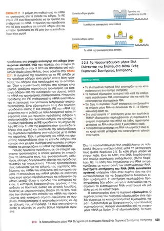 H pti0Uton rrlg oroOepoqtog rou mRNA
*c rpovogeptvlq on6 ro en[nedo rou otOflpou To IRE
:rlv 3' UTR etvot 0eor1 npoodeorlq yto rrlv nporetvl nou
:roOeponotel ro mRNA. H nporreivq nou npoo66verot
:ro IRE eivut euo(oOr1rr1 oro en[ne6o otdnpou (Fe) tou
..rropou: npoo6everot oto IRE g6vo 6rov ro enlnedo ot-
lnpou e[vot Xopntro.
En(neDq otonpou XoUrltrd
To mRNA tns tpqvoQep(vnq e(vot mo0ep6
llpotreil'1 :: -
npoodevero,:.: :i
AAAAMAAA
@
AAAAAAAAA
npoo66vetot oro orolleio qn6wnonq oro o6rlpo (iron'
response element, tnel nou nept61et, 6vo orotXe(o to
ono(o ewon((etot qrnv g UTR rot onotelsftot on6 notr'-
Ionl6q 6op6q ;r(cn1ou-0qNdq, 6nog qofuerot ornv EIK0NA
nfi. H ouyy6veto rrlq npcoteivrlq yu to IRE otrl'6(et pe
rqv np6o6eor1 otdrlpou: e(vot 1opr1trrl 6tov 11 06oq np6o-
deorlq tou ot6rlpou e(vot roteilrlprpr6vq r<ot ro ow[orpo-
go. 'ci.ou q ouyr<5wpcoor1 otdripou mo xirropo e(vot
Xo1.rnNl, Xpetd(etot neptoo6tepq tpovorpep(vq Yto etoq'
vrjv,r oianpou'on6 rrlv r<urlotpop(o rou o(poroq, on5te
ro m RNA rqq tpovorpep(vr1 g oro0eponoekot' H nporchnl
np6odecrrlq'oro IRE oro0eponoe( to mRNA ovoor6Mov-
rqq rn leroupy(o ttov yerovxrilv oMqlouXttilv onooro-
0epono(qo"r1q. E(uor o[toorlpre(ulrg 61] (6to npotetvrl
npoo66vetoi en(or1g o' 6vo otorye(o IRE tou mRNA rrlg
eeppmvnq rot to puOg((et ;re no}'0 6togopenr<6 rp6no' H
qapptt(vn e(vot pto npoltetvrl np6o6eoqg o't6ripou q
ono(o eVr<ttopt(errnv nep(ooeto otSripou oro xfrropo' H
npcrnetvq np6o6ecrqg oe IRE npooddverot oe g(q4ouq-Oq-
tu5q IRE oqu 5 UTR rrlq Eeppr(vqq 6rov 19 ertue6o ot-
dqpou e(voi Xoprl}'6 r<ot ovoor5trtret n'1v oMqMn(6poor1
rou ouprnl6r<ou np6odeoqq onlv ro}'rimpo Ue ro mRNA
rnq qeppmvng. 'Erot, 4 pretdgpoorl tou-mRNA rnq Qep-
pnfis nopelinodi(etot 6tov ro en(ne6o ot6tipou oro
L*r"p" e(vot loprqLd, ouvOrir<eq un6 tg ono(eg oro0epo-
noeftot rot prerorppd(etot to mRNA tqq tpovorpep(vr1q'
I-1oM6g'npr.iiueq np6o6eorlq oe cis-orotle(o utpi
orcrwcrt tpononoqoerq ot ono(eg go(verot 6tt enqped-
(ouv u1 trettoupy(o rouq, n'X. tptoogopul'(toor1, peOu-
)t(oorl, oMoydg Stop6ptpoorlq e[otr(oq qq np6o6eorlg
rel,emov Kqt tooUepe(oor1. T6roteg tpononot(oetg
(ocrlg euOrjvowot Ytq nq oLLoydq rrlq tolUqtoq qno-
66Unonq tou mRNA nou endyowor on6 runoptrd of-
Uoiq. H onoo6v0eorl rou mRNA oMd(et oe ondwrlorl
npoq eupU qdopo neptBotrl'owtr6v rot ev6oyevdrv oq-
g6ttov, 1.reto[ti dM<ov 11 np6odog rou KurrclptKori 16-
x.ou, 4 rurroptrri 6to<popono(r1or1, oppr6veq, n rpo-
rpo6oo(o oe 0pemr6g ouo(eg xot toyeve(g Lortrldr[etq'
Mdr.fteq Ue UtKpoouototX(eg Sdet[ov 6rt to 50% nep(-
nou rov oLloyriv oro en(ne6o tou mRNA nou npoKo-
Lo[wot on6 xurroptr<d oqproto oqeilowot oe ouU-
fdwo oroeeponohorlq q onooroOepono(r1or1q r<ot 6xt
oe oMoydq rnq UeroYpoqnq. To ncirg enmuyXdvowot
our6g ot oMoydq oe prey0to 9o0U6 nopog5vet 6yvt'l-
oTo.
En(fledo otonPou uUntrd
22.8 Io Neoouvre0elPdvo U6Pto RNA
EA6yxovrot Vlo EAoTTdLtoTo Mdoo Evoq
tlupnvrro0 Euorhporoq Entripnonq
@L9--l ,
o To etrorroUortro nuprlvtro RNA ovoyvtrlpi(ovrot rot r0r0-
orpeqovrot ono 6vo ouorrlpo entrnplolq
* To nuprlvtxo e[ulotrll.totto tretroupyet rooo roro rnv one(ep-
yooio tpuototroyLrtirv RNA unoorptlgorolv ooo rot roto u1v
roroorporpl rctlv etrorroportrtirv RNA.
* Iu (0un, ro oupntroro TRAMP entotpore0et ro e[ootr-tltotto
oe oviilpotro popLo RNA rol dLeurotr0vet qv 3'-+5' e[ovou-
rtreotrurtxfl 6Poo1 tou.
* IT0 ufl0oTptlgoro yt' ono66p1or1 p6ool rou oupntrorou
TRAMP-e[oroopor[ou nepfioptpovovrot Un ouppogU6vo rl
ovtilgoho ouppopp6vo npo-mRNA rot tro0oq repportoptlvo
gerdypotpo rnq RNA notrupepoorlg ll Xtrlpiq notu(A) oupo
e To neptooorepo peroypotpo uq RNA notruuepoorlq ll totr:q ei-
vot rpuqo ooroOn UeroYpoQo llou roroorpdqovroL yprlyopo
orov nupflvo,
Otro to veoouweOet;r6vo RNA unoBdMowot oe nol-
ond Bqproto ene[epyoo(oq petd tr1 peroypoqrl
rouq (Bi6ne Ke<pdoro 21). Ze r<dOe Brlpo prope( vo
y(vouv ).d0r1. Evto to d0q oro DNA dtopOtr'lvowot
on6 notrfto ouorqpoto ent6t6p0cooqg (B6ne Ke<pd-
Loro 16), ro Ld0r1 nou ovtXveUowot oro RNA owtge-
rconf(owor Ue Kqroorpocprl rov e]'orr<optottt<tov RNA'
Iuorriporo enlr{pqoqg rou RNA (RNA survellance
systems) undpXouv t6oo orov nuprlvo 6oo rot oto
r<urrop6noopo Yto vo 6toXetp[(owot 6tocp6pov et-
6ov npoBlrlpoto, H entrrlprloq nepAoprBdvet 6po-
orrlpr6tqteq 66o etdtov: Uto Yto v' ovoyvtlp((et Kol' vo
or11lo(vet ro etrorro;trtqrLr6 RNA un6otptol-to Kot Uto
dM4 yto vo to rotoorP6<Pet'
d *o-o*po.p5oq e(vot to nupqvtr6 e(olotop6rro' O
nupqvoq (core) tou nuprlvLt<oti e(cuoopot(ou e(vot oXe-
66v 6protoq Ue ro Kurroponoo1.totLx6 e(u'lotr:pdtto' no-
p6tt otrtrq).ent6pd pe 6togopettr<o0g npo:teivtr<oUq
ouprnopdyoweg. Arpotpei voux..eot(6to on6 tq sroxeu-
pSvo mRNA trre 6p6o'r1 3'-+5'e(rovour<)'edoqg To nupq-
To mRNA qq tpovorpepivrlq elvot omo05q
21.* To Neoouvreoetptevo pdpto RNA Etr6Yxovrot yto Etrorrdrporo Mtlotrl Evoq l-luprlvtxou Iuorqpotoc EnL:-c';'c 639
 