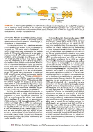 " t-l -'-
u[m,oFTffi-
. ,r' ,: .,: To onoretreopo rrlq npoodeolg ev6q PABP t<ovto o' evo npoopo rtodrrovro reppouolrou. 'Evo yovidro PABP gerorponlxe
(rl01t v0 erqpo(et gto neptoXrl npoodeolg oe RNA evoq qoyou H neproXrl npoodeonq evoutpor60lre o' evo doupoorLxo yov[6to-uno-
oTpopo yto NMD. To npoodedepevo PABP epnoOroe rr1 ouv101 yplyopl onodoprlorl ourou rou mRNA ono ro prqXovro;.ro NMD. Aurrl q p6-
0oDog eXer notrtreg eqopgoy6q orn goprorrl protroyro.
OXr NIVID t,'t .
prBoorotrrdrro. Kord rov nporon5po yUpo qg prerdqpo-
onq yro 6vo un6orptrrpo NMD, or nprore"[veg Upfl xor
Upf3 npoodSvowor oro(o) xo0o6x6 rordlorno(o) EJC,
oroXerlowog ro yro ono66prqor1.
To neproo6repo yov(6ro rou S. cereyr.srae 6ev 6ro16-
firowor ro06],ou on6 twp6vro, on6re o prqXovtotrr6g ev-
ronroprori rov PTC np6ner vq e(vor 6rorpoperrr6g. Ie
ourn rrlv nep(moor1, orlpro rrv6rivou e(vor ;uo orpriotro
peyoln 3' UTR. Aur6 ono6etX0rlre on6 to erjp4pro 6tr r1
entg{ruvo4 rnq 3' UTR ev6g quoroloyrKorl mRNA 0o
pnopo0oe vo ro Uerorp5r{.rer oe un6orpo;ro yro NMD.
'Evo rp61ov ;rowSlo npore(ver 6rt o ooor6q repUorr-
op6g rqg prerdgpoo4g o' 5vo ro6rx6vro reppronoproU
npo0no06rer 6vo orlpo on6 6vo r<oww6 PABP. MoLov6rr
or 3'UTR 61ouv noLri 6rorpoperx6 pnKoq, q <puou<r1 on6-
oroon peto[ri rou ro6rrov(ou reppotroprorj ror qg
poly(A) oupdq 6ev e[oprdror onoxlerorxd on6 ro Un-
xog roOc0g 6eureporoye(g 6op6g xor oMqtrsnr6pdoerg
pero[ri RBP prnope( vo rrl oupnr6oouv. H ovdyr<4 yro
PABP ono6etl0qr<e oe noMorig opyovrogo0g npoo66-
vowoq pro PABP r<owd oro PTC (B).6ne EIK0NA 22.15),
on6re ro ow(ororlo mRNA 6e oroXeu6rov n).6ov yto
NMD. En(orlg, 4 ovoyvrirproq rou PTC ouprBo(ver ove[dp-
rqro on6 q oupporpq or4 Drosophila, o"ro C.elegans,
oro rputd ror oe optopr6vo mRNA rrov 0qLoonxri:v, yeyo-
v5g nou uno6rlLrilver 6rr ro ptixog ror q 6opq rnq 3' UTR
e(vor r<p(oq.ro yto rnv quoroLoyrrl 6ro6troo(o repporr-
ogoU qg perdqpoorlg oe 6Loug roug opyovroporig.
Opropr6vo guoroLoymd mRNA orolefowor on6 ro
g4Xovropr6 NMD. Aurd ro mRNA routonor{Oqxov on6
nerpdproro mo ono(o elorc60rlxov ro en(ne6o rqg
Upfl, pe onor6l,eopo peydlrl oU(4oq ev6g unoouv6-
Aou geroypdg<ov. O xotdLoyoq rov euor.ol,oyxriv
unoorpoprdrov yl.o NMD nept}opBdver pr6pro mRNA pe
r6rokepo peydLeg 3'UTR, ro mRNA nou ro6rronoroUv
oeArlvonporeiveg (or ono(eg Xpnoqonoroilv ro ro6u<6-
vto repUorrol.rorl UGA rog xrodx6vro oelqvoxuoretvqg)
xt Svov dyvocro opr0pr6 evqMoKrmd ouppogpr6vov m-
RNA. Me Bdorl 6oo yvrop((oupre pr61pr oriprepo, 6s pno-
po0pre vo npoBL6goupre 6Lo to unomptilUoro nou
onorelorlv m6Xoug NMD. To NMD (oog ono6erX0e[
6vo oqpowrr6 povondrr yptiyopns onooUvOeoqg yro
notrfi.o BpoX0Bro mRNA.
Teprlrl 06o11
nprjodeonq
H onoorjv0eorl non stop (non stop decay, NSD)
oroleUeL pr6pro mRNA lrop(g ew6g nLoro[ou xrodtr6vro
teppono;.rori (peoo(o oxnpo orqv Eu<6vo 22.13). E[or-
r(oq qq onorulfog reppotrol.rori, 6vo prBoootgd-no ou-
veX((er vo preroqpd(er ornv oupd no).u(A) r<oL nL0ov6v
orol.rord mo 3' drpo. Ynoorpor;roro rqg onoo6v0eorlg
non stop 611;;oupyotiwou<up(cog on6 np6copo repUol.-
op6 qg peroyporpqg ror noluo6evul(roo4 orov nuprl-
vq. T{itoro np6opo no}.uo6evu},rcop6vo prerdyporpo
e(vor nopd6o{o rotvd. H ovd}.uor1 tulo(otv n}.r10uo;rd;v
oDNA or ono(or npodpxowov on6 mRNA qg (Upr1g r<or
rou ov0pc6nou uno6rlLrriver 6n ro 5-10% rrov ouprBdv-
rolv no).uo6evu).(roo4g (orog ouprBo(vouv oe ovo6tr<d
"KPUtPd o4pe(o" to ono(o prord(ouv pe to ou0ewu<6 or1-
po nol.uo6evuL(oor1g. H or6Xeuoq rov unoorprr;prdrrov
non stop nepil.o;rBdver 6vo oUvoLo nopoy6wurv nou
ovogd(owor nporei'vsg SKl. To prBooroprdrto oneleu-
Oepcbveror on6 to mRNA pe q 6pdor1 qg Ski7. H SkiT
6,1e1 pro neptoXrl GTPdo1g nop6;roto Ue rou eEF3 ror
nr0ov6v npoo66veror m4 05oq A rou prBoocol-rot(ou
yro vo deye(per rrlv onetreu0Spcooq. H enor<6Lou0r1 enr-
mpdreuo4 trov un6).orn<ov npoteivriv SKI xor tou e(o-
orrrpor(ou 6Xer og onor6Leopo rqv onoo[voeoq rou
mRNA pe xoterjOuvorl 3'+5'. H onooJv0eorl rcov uno-
otprrlpdtov non stop prnope( en(or1g vo ouprBe( onouo(o
r4g Ski7, on6te xor npoyporonore(tor pe ogo(peo4 r4g
r<oLrjmpog ror n5r1.rr1 oe rqreUOuvoq 5'-+3'. H euoroOq-
o(o mr;v o<po(peor1 qg r<o).rinrpog 0o pnopo0oe vo
o<peftetor o' ercr6nroq rorv PABP xo0rig to npcoron6po
prBooroprdno 6rorp5Xet qv oupd poly(A). H VpnVopn
onoo6v0eoq rov unoorpto;.rdtrov non-stop o6qyei 61r
p6vo oe npooroo[o on6 ro[u<d no],unem(6rq oMd r<or
oe oneleu 06pooq noyr6eu p6vcov prBooro prot[ov. Ev6ro-
g6pov efvqt ro yeyov6g 6rr ro E. coll lprlotponore( 6vo
e[er6rxeugSvo pr; r<o6rxonorqtrr6 RNA (tmRNA) ro
ono(o 6po 16oo ctg IRNA 6oo Kor oq mRNA yro vo 6to-
ocioeL ptBoorrlprdrro moprorqprSvo o' 5vo nonstop mR-
NA. To tmRNA xqreu06ver qv npooOrp<q ev6g pu<pori
nenl6(ou nou moleUer ro eLorrol;-torLr6 npoteivtx6
npoi6v yr' ono66pu1or1, nop5ler 6vo xro6rx6vro reppol-
o1-roU nou ennp6ner r4v ovor<tix),ooq rou prBooropor(-
ou Kor oroxeUer ro e),ortco1lolr<6 mRNA yr' ono66pu1orl
on6 r1v RNAo4.
TeXvrltd PABP
ge v6o neproXrl
npdoDeolg
:I.-q 0 'EtreYXoq
l-lotoqrog rrlg Meroqpoolg rou mRNA l-1poy;loronoLeuor ono Kurropon),oogolro Iuorluoro ErLrc-:-l 643
l-lpoo0ebepdvo PABP
 