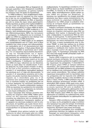 rov yovr6(ov. Ayyelroq6po RNA pe drorpopettr( oi,-
LqlouX(o eprgov((ouv notrU 6rogoperrrri euoto0rlo(o
or4 6pdoq rov vour.treqod)v, pre lp6voug nptEorliq
nou norril.ouv xqrd 100 gopdg r<or neproo6repo.
To mRNA ouv66etot ;r' 6vov petoBoLi.6pevo nLr10u-
op6 npu:teivriv xord rqv cop(provo( rou mov nup{vo
r<ot q (o( rou oro rurrop6nl,oopro. Yndplouv ndpo
notr)69 nporeiveg np6o6eoqg oro RNA, or neproo6re-
peq on6 trg ono(eg 6ev 6Xouv or6pro Xoporrqptme(.
l-loM6g npcoretveg ;re p6Loug orov nuptlvo onoBdMov-
ror nprv ri rord qv e(oyoyrl rou mRNA oro rurrop6-
ntroo1.ro. AMeg ouvo6eUouv ro c0prpro mRNA t<ot 6pouv
Kor oro rurrop6nloogo. To mRNA ouv66owor g'eu-
6r6rpro, oMd oM4lenu<ol.um5pevq, oUvo^.o np<otei-
vdrv (RNA-binding-proteins, RBPs) nou trerroupyo0v
orrl gerdqpoon, tn oro0ep6rqro Kor rov ewonropr6. H
oprd6o tov mRNA nou protpd(owor 6vov r6ro(repo t6no
RBP ovorpdperor Kor. cog RNA peyroutr6vto.
H ono66prqoq rou mRNA opX(er Ue rnv orpo(peoq
ev6g nupogroogoprrori on6 ro 5' dr<po. Aur6 to Brlgo
nupodore( 6vqv xUKIo ewopuilv on6 ev6ovourtredoeg,
nou orotrouOe(ror on6 3'+5' e[ovour<],eoAunr{ n6rpr1
r<ov el,e60epcov xtrooprdrcov. H 6o911 g(oXou-Oqhdq oro
3' dxpo nol,trrilv mRNA rq npoororeUet on6 3' ent06-
oetg. H 3'-+5' evepy6rqro e[ovoux].edoqg 6reuro].Uve-
rot qn6 rqv nouo6evul,(ooq rrov 3' 6xptov,
q44;ror((owoq Uro nLorrp6ppro yro ro 6v(u;ro. Or r<0-
preg npotetveq nou epnL6rowor mqv ono66ptrlorl rou
mRNA trenoupyoriv rog o6prntroxo yvroor6 pe tov 6po
oropdrro ono66prrlo'r19. H ono66grlon rov neptoo6te-
prov mRNA orn (rjpn, nt0ov6roro Kor ficl Oqtrooru<d,
onone( cog npri:to Brlpo illv qnoo6evutr(@o4. H ercre-
vrlg Bpdpvorl qg oupdg poly(A) ennp5net vo e[e].t1-
0e( 6vo on6 ro 6rio govondrto ono66prqor1g. To
povondrr 5'+3' onoorivOeorlg nepil.optBdvet oqo(peoq
rrlg ro).Umpoq Kor 5+3'n6{q on6 e(ovour<}.edoq. To
govondrr 3'-+5' onoo0v0eonq roro.l.Uerot on6 to e[co-
orr:pdrro, 5vo peydLo orj;rnLor<o e(covouxLedonq. H pe-
rdrppoorl Kor rl onooUv0eoq p6oco rou 5'-+3'
povonorrori e(vor owoytovtmrr6g 6repyoo(eg ener6ri
t6oo ro oritrrnLor<o 5vop[qg qg prerdgpooqg 600 Kor
to 6v(utrro ogo(peoqg rrlg r<otrUnrpog npood6vowor
cr4v ro).0mpo. To oroprdrro ene[epyoo(og neptSXouv
mRNA r<or nporefveg nou eprn].6Kowor orqv onoo0v0e-
orl Kor rrlv Koroorol{ qq perdqpooqg rot nrme0erot
6l e(vor oqpre[o onod6gqorlq rou mRNA.
'E1ouv neprypoge( dMo rdooepo provon6rro ono-
dSUnonq nou oroXe6ouv er6xd mRNA. Ko0dvo Xpnor-
ponore( rov (6to prrlXovropr6 ono66grloqq Ue ro
povondrro nou e(oprdrwot on6 rqv onoodevuL[oor1
oMd opX((er drorpopertrd. Iuyrexprpr6vo, opffiouv pre
(1) ogo(peor1 qg rol,0mpog ove[dpqrq on6 rrlv qTro-
odevuL(u:oq, (2) npoo0rjrq puog oupdq noLu(U) (3) ev-
6ovour<Leol.uttx5 r<6Qr;ro er6tr<6 yro ouyxexpr;r6v4
olrlLouX(o/6oUn (4) (euydpropro Bdoeov pre pr6pro mi-
croRNA.
Or 6togop6q orouq Xp6voug npr(oiq ttrlv mRNA
ogeil,owor oe er6xd cis-morXe(o pr6oo oro mRNA.
'E1ouv neptyporpe( ororle(o onomoOepono(r1or1 g ror
oro0eponofionq. Tq neproo6repo ewoni(owot ornv g
UTR xor Spo6v toq oqpe(o np6o6eoqg yto npoxefveq 4
microRNA. To ntroriotq oe AU motXe(o (AU-rich ele-
ments, AREs) onooroOeponototiv peydlo opt0p6 po-
p(ov mRNA oto xrltropo rov OqLoorrxc0v. Ot
npu:teiveq nou npoo66vowor oro orotle(o onooroOe-
ponoqorlg (ocog 6pouv rup(og entorpoteUowoq opt-
opr6vo ouorolrd rou pnxovtoprorj ono66gnonq. H
oro0ep6qto rou mRNA prnope( vo puOpr((etot onov-
tc0woq oe KurrqprKd oqproro pe rponono(qoq tcov
n poo6ev6 prevov n potetvcilv.
YndpXouv ouorrlporo ennrjpqoqg rot etrdylou not-
614ro9 nou lemoupyo[v otov nuprlvo rot to xuttop6-
nl.oo1.ro r<or oroXeUouv elonopottrd pr6pto RNA yto
ono66prr1oq. Itov nuptlvo, ro ef,orotoprdtro 61et 6trr6
p6tro: ene[epyd(eror to <puototroyrxd RNA Ko] Koro-
orp5qer to etrort<r:1-rorrxd. To elonopottxd RNA ovo-
yvcop((ovror on6 notr(Loug oupnopdyovteg rou
e(coorll1.ror(ou nou 6nero entorpote0ouv to e(cootogd-
tro. Irq (UUn, o r<0prog oupnopdyowog e(vot ro oripr-
nloro TRAMP, ro ono(o 61er opr6troycl Kcrr oe dMouq
euxopucineg. An6 ro pretdypogo qg RNA Pol ll uno-
crrpcir;roro yr' ono66prqon orov nuprlvo e[vot 6oo 6ev
61ouv ouppoge( oromd rj 6e q6pouv rpuototroytt<6q
poly(A) oup6g. To neproo6repo prerdypo<po qg RNA
Pol ll (orog e(vor r<pugd ooro0f prerdyporpo (cryptic un-
stable transcripts, CUTs).
l-lorx0.o mRNA molefowor on6 ro rurroponLo-
ol.rorrd ouor{proro enrnpnonq. Kor oro tpto g4etu<d
ouor{ goto enmq pqoqq epn},6xowor ou pBdwo ovcOpro-
Lou tepporropro6 qg prerdgpoo4g. H onooUv0eor; N-
MD oroXe0er g6pro mRNA pre np6opo rodtt<6vto
tepporroproU.'Evo ouwrlpqprdvo oUvotro nopoy6wtov
(npcoreiveq UPF ror SMG) eprnL6rerot qrnv ovoyvcirptoq
Kor rrlv nopddooq ev6g unoorpc0ptotoq NMD oro pqlo-
vropr6 yevrrrig onooUv0eoqg. 'Evo np6olpo t<to6tr6vto
repporropoU ovoyvrrrp((erot xotd tov npoton6po ytipo
qg prerdgpoorlg on6 rnv nqpouo(o ev6g xo0o6rroti
oupntr6r<ou oupBoLqg e[ov(rov r1 ev6g oouvrlOtoro pe-
yd).ou 3'dxpou. En(or1g, 4 NMD epntrSreror orrlv qno-
66prqoq optop6vrov guototroyu<drv ooroOc0v mRNA. H
onoorlvOeol NSD oroXe[et mRNA Xcop(g ew6g ntrotol-
ou xto6x6vro tepprortopori rot onore( 6vo ouw4pqpr6-
vo orivoLo nporeivc0v SKI ciore vo e[co0rloet tqv
oneleu0Spoorl rou noy6eupr6vou prBoorol.tot(ou rot vo
enrorpore0oer ro pnxovropr6 ono66prnonq. H onoo6v-
Oeo'q NGD orole0er pr6pro mRNA nou 51ouv ordotpto
prBooroprdrro oe rro6rr6vto rrlg ror6xonotrpu<r1g nepto-
Xrig xor npoxoLe( oneLeuO5ptoorl rou ptBootol.tot(ou rot
ono66prqoq.
Oproprdvo mRNA ewon((owor oe et6u<69 neptoX6g
rou rundpou xor 6e prerogpd(owot pr6Xpr vo qtdoouv
orov npoopropr6 roug 96oo oro rrlrropo. O ewontopt6g
qnore( crs-orotXe[o ndvo qro mRNA-or6Xo Kot trans-
nopdyoweg. E[unrl pere[ rperg rU preg ].enou py(eg:
1. Iro cooxrirrqpo ouvetog6per orrlv eyro0(6puor1
peMowu<cilv npor0nov rou eprBpriou Kot ornv npo-
6royporpri rou ovonruftor<oU nenpopr6vou r<urt6-
pov nou e6peUouv oe 6rogoperx5g nepro16q.
3I 11 l]eoltrrun 647
 