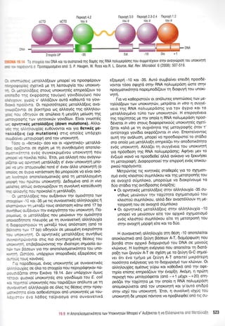 l-leproxn 3.0 tleproXrl 2,3-2.4 fleptoXq 1 .2
TOU O TOU O IOU O
IroLXeio UP -35 Ext -10 Uls +l
-t n0txs[0 Tou DNA Kor T0 ouoToTrKo qq 6oUnq Trlq RNA notru;repoolg nou ouppereXouv oTnv ovoyvtirptorl rou unortvlrrl
----,-, 1: tlpoooppool.t6voono:S.P.Haugen,W.RossrotR.L.Gourse, Nat.Rev.Microbiol.6(2008):507-519.
- ,- --::.c getoMd[eotv pnope( vo npooq6pouv
- -: - -: :: ryerlKo |re q trettoupy(o rou unoKtvrl-
- -. .:'-i.cEelq orouq unoxtvrltdg enqpe6(ouv to
- -.: : :-: eKepooqg tou(tov) yovtd(ou(tr.rv) nou
-, : -, ,*c[g v' oMd(ouv outd xo0outd ro yovt-
' -,: -::.l.ro. OL nepLoo6tepeg prerotrd[etg ovo-
-: -:, :. ;e Borcrqpto tog oloydg tqg oMq).ou-
- : - - - : l-','ouv oe onotreto rl Uey6).q ;re(tooq qq
. --: ::j-: :tDV yettovtrrirv yovt6(ov. E(vot yvoor5g
- , :: , nrxeq peroM6[erg (down mutations)' AMo-
- - - : :r-'.-iou1(og euO0vowot Kot Yl'o 0erlx6g pe-
-:--: iarc (up mutations) ottg ono(eg undpXet
-. -: : ". -3-ioYpoQ( on6 tov unor<tvqrq.
-- l- :. ,,8ettrd,g,, doo xot ot "opvr1ttr6g" pretoMd-
.. - :: --. .:L oe oXeoq pre q ouvry1to1tiv4 onotetre-
- -- .- -:: evdg ouyrer<ptp5vou unoKtvt'1tq nou
- - - - I : .:.rL.tret notrU. 'Etot, prto oMoyr; nou ovoYvo-
. -.-- -: ::i.1rtr<q petdLl.o[r1 o' 6vov unor<tvr;tr| pno-
. : - -- , lrcUovrr-loe( not6 o' 6vov 6Mo unor<tvqtrl (o
- - - : r. :. cto rorooroorl 0o pnopo[oe vo e(vot o16-
:-r:: cnortleoprottr6g on6 tq petol'LoyprSvrl
-,: -- -:- :cLJrou unor<tvr1q). Ae6o;r6vo on6 in vivo
- . :-: - : .r.;q ovoyvcop((ouv 11 ouvoLtr<r1 rote[Ouvot1
- - r . :.-: -rou npor<ole[ 11 pretdMo[q.
- -. ::,,.oEeiq rou ou(dvouv ttlv opot6tqro rov
- . - " " - <ot -35 Ue rtq ouvotvettx6g oMrlLoulieg 11
. :- - : - , :- pretolti toug on6oroorl rdto on6 17 bp
- - : - : :- lc. ouv rlv evepy6rrlto tou unortvrltrl. l-lo-
. -. -: : *iroMo[etg nou getovouv ttlv ogor6tqro
- - -:l-::.i nLeupog Ue rrl ouvotvettr<r1 oMrltrouX(o
- - :::::::icuv rr1 preto(0 toug on6orooq (on6 to
. - -: :-, '7 bp) o6rlyoriv oe petcol-ttivrl evepy6qto
-' ,-.n, Or opvqttr6q getotrtrd(etq ouvq0og
- .: -:*,c',/Tot ortq TIto ouwrlprlpr5veg O5oetg tou
. - ," -:- :riBeBottrrvowoq rnv t6to(tepr1 oqpoo(o ou-
-
- . ::ceolv Yto rnv onorel'eopottr6qto rou uno-
l;coo, undplouv onopodtrdg elotp6oetg oe
- --: -: :ouq rov6veq.
-: r,opddetYpo, 6vog unor<tvqtrlq ge ouvotvettxdg
- , ..'.cr1[eg oe 6].o to oroLXe[o nou neptypdqrlKov nq-
:: -:.:(erot mqv Etr6vo 19.14. Aev undpXouv 6ptolq
-:-: r. rpuotxo[ unortvqt6g mo yovt6(trl1-to tou E. coli
. : -:, ,rro( unoxLvqt6g nou totptd(ouv on6Luto 5le 11
- - r .::.<rl oMlLoux(o oe 6).eg ttg 06oetg srnv npoY-
-:- . ::-:l e(vot oo0evdorepot on6 unortvqtdg pe tou-
- l.:, evo ).d0og to(ptoopro oro ouvotvettrd
e(opepri -10 r<ot -35. Aw6 ou;rBo(ver enet6rl npoo56-
vowor 16oo orptXr6 orqv RNA noLuprepdo4 rilore ornv
npoyl.tonx6tnro nopeuno6((ouv tr1 6ro<puyf rou uTloKl'-
VNTN,
l-ro vo ro0optoroUv ot on6l'uteg entmriloetg rov Ue-
roMd[e<ov rov uTloKtvnrcilv, pretpdtot in vitro q ouyy6-
verq rnq RNA nouprepdorlg Yto rov dypto rot ro
pretotrl.oyprdvo t6no rtov uTloKtvntriv' H etepoy6veto
tr1q roxfunroq Ue rnv ono(o q RNA nol'uprepdorl npoo-
66verot in vitro oroug 6totpopetxorig unorwrlrdg o1e{-
(etor r<oLd ;re q ouly6rrlro rnq pretoyporprlg 6tov r'
ow(orotlo yov(6to errppd(owot in vivo. Enercrefuowog
ourl qv ovdl.uorl, ;rnopei vo npoodtoptore[ to orddto
oro ono(o prto pret6Mo[r1 enrlped(er r1v ono6onx6tqto
ev6g unoxrvntn. ALI'd(et q ouyy6veto rou unorwqtrl
yro np6o6eoq rqg RNA nol'uprepdorlg; Arpqvet pev ro
6v(u;ro trqv5 vo npoode0e( oM6 ov(rqvo vo (erwrloet
rrl Uerqypoeri; Atogoponoe( trlv enrppoq ev6q enxou-
pu<ori nopdyowo;
Metpdrwoq ttg t<tvtlttt<69 oro0epdq Yto ro ox!1gort-
opr6 ev5g x.tretoto0 oupntr6rou Kot rnq gerotponrig rou
oe ovotXr5 orjptnl.ot<o, prnopo6ge vo dtorp(voupe to
6rio ord6to rrlg ow(dpooqg 6vop(r1g:
. Ot opvnrtK5g geroMd(etq orrlv ol.i.r1}'ouX(o -35 ou-
vr'1Ooq get6vouv r1v toX0rlto oxnUortopoti tou
xtretorori ouptntr6rou, oLl'd 6ev ovoqr6Mouv rn Ue-
rotponf rou oe ovotXr6 oUPnl'oxo
. Ot opvnrtKdg pretoL),d(elq orrlv o).trr1l,ouX(o -10
prnopei vo petc0oouv e(re tov op1tr6 oXqpottopr6
ev6g xtretmori ou;rntr6r<ou e[te r1 petotpon{ tou
orrlv ovotXrrl Uopqi efue xot ro 5Uo.
H ouvowenrrl oMr1tr'ouX(o orq 06o11 -10 qnotelefuqt
onorletonrd on6 (e0yq Bdoeu:v A-T, Stopr6prpoon TIou
9on06 orov opXtr<6 6roXoptopr6 tou DNA oe provo0g
xLrivoug. H Lty6tepq ev6pyeto nou onorefuor q 6totd-
po[r1 tov (euydrv A-T oe ox6on Ue ro (eUyq G-C orlpo(-
ver 611 dvo ttrrripo pe (e0yq A-T onotte( prtrp6teprl
noo6rqto evSpyetoq yo to 6toXcoptqr6 tov xi.rirv<ov' Ot
otrr1Lou{eq op5oo4 y0po rot r<o0odtrd on6 tqv o<pe-
tqp(o en(oqg enqped(ouv qv 5vop[r1' Ax6p4, n np6rn
neproX{ nou preroypdqerot (on6 -+1 Udxpt -+20) enq-
pedEfl rrlv toXriqro Ue rnv ono(o q RNA noLuprep6oq
onogot<p0verot on6 Tov unoKtvnrrl r<ot yt'our6 enr6pd
orqv roXti rou unoKtvnr4. 'Etot, 4 ouvotrrr4 toXtig tou
unorwqtq 6e ;rnope(ndwore vo npoBtre<p0ei on6 ttg ou-
IroLXe[o UP
'i:':.t g 4noat^eoporLrorrlro rolv Ynoxrvlrdlv Mnopei v'Au[overot 1 vo EtrtroroveTot 0[o l,ra :):::- 523
 