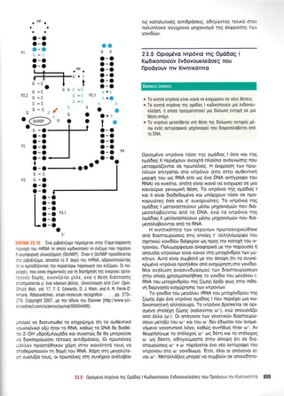 G-C
P3 G -e)
o-o
o-o
a-
o-
o-
o-
a-
o-
o
o
O P3,1
o
o
o a
U
.0r0xl rou mRNA To oIIo[0 KoorKonotel T0 ev(uuo nou nop0Yet
:-:oorpoprril ytruro(opivn (GlcN6P). '0rov
1 GlcN6P npoodevetot
' , pLpo6v(upo, onoono ro 5'orpo rou mRNA, odpovonot6vroq
: <L epno6[(ovT0q rrlv nepou6po nopoYoYrl rou ev(rjpou. 0t ne-
: :Xeg, nou e(vot orlpovrLr6q Yto fll Dtorrlplon rrlg evepyou rptro-
:','ouq doUnq, errov((erot pntre, evdt I0eol Dtoonooqg
i .ol1polveror ;t' 6vo roruvo petroq. (Avorunoorl ono Curr. Opin.
:.'uct. Biol., vol. 17 T. E. Edwards, D. J. Klein, and A. R. Ferr6-D'
--rar6, Riboswitches: small-molecule recognition . . ., pp. 273-
--9 Copyright 2007, pe qv odeto rou Elsevier [http://www.sci-
. -.r e d irect. com/science/jou rnal/0959440X) .
-:ope( vo 6rorunto0e( to entXe[prlpro 6tt ro ou0ewtr6
.cur<.treivrr5 o[U rlrov to RNA, r<o0cog ro DNA 6e 6to05-
iL 2'-OH u6poluLopd6o xot ouvenc,.rg 6e 0o prnopo[oe
. : drexneporooer tdtoteg owrdpdoetg. Ot npu:tefveg
-:,,ov npoor50rp<ov Xdpn orrlv tt<ov6tqtd toug vo
-oOeponotoriv q 6opr1 tou RNA. Xdprl orq preyotr0te-
:- eue).r((o rouq, ot nptoteiveg orrl ouv6leto ov6LoBov
trg r<ototrulx6q owLdpdoetg, odrlyo.lwog teAtxo c:: '
nolrjn).or<o oriyXpovo prllovtopr6 trlg 6xgpoorlQ rt";
yovt6(rr.lv.
23.5 AptapCvo tvrp6vro Tnq Opd6oq I
Kor6rronoro0v Ev6ovourAedoeq nou
tlpodyouv Tnv KrvnrrK6rnro
* To rtvlro rvrpdvro e[vot trovo vo eloXtopouv oe v6eq Oeoetq.
* To rtvlro tvrpovto Uq oUodos I rtodtronotouv gtu ev6ovou-
rtreoo1, q ono[o npoyporonote( pto 0trtrtovr1 evro;lr1 oe pto
0doq-oroXo.
* To tvrpdvto perorlOeror oq 06orl rr]q dLrtrovr]q evroplg p5-
ou.r evoq ovlypoqtrof glXovtopou nou 6togeootrope(rot ono
ro DNA.
Optopdvo rwp6vto t6oo trlg opddog I 6oo r<ot ttlg
oprd6og ll nepr5Xouv ovotXrd nLo(oto ovdyvtr;or1g nou
prerogpd(owor oe npora(veg. H 6xgpooq rov npco-
teivo-lv enrrp5net oro twp6vto (e(te mrlv ou0ewtr<q
Uopen rou tl:q RNA eke cog 6vo DNA owtypogo rou
RNA) vo r<Lve(rot, on6re e(vot txov6 vo eroXtope( oe Uto
r<otvoripro yevoprxrl 06oq. To twp6vto t4g oprddog I
ror ll e(vot 6ro6e6oprdvo t<ot undpXouv t6oo os npo-
ropuorreg 6oo rot o' europutrtteq. To Lwp6vto trlg
o;rd6og I petovooreUouv ;t5oto prrllovLopttrtv nou 6to-
preootroBorjvrot on6 ro DNA, evot ro twp6vto tqg
oprddoq ll petovooreUouv prSoo prqlovtol.ttov nou dto-
;reootroBotiwor on6 ro RNA.
H r<rvqttr6rrlro rcov twpov(ov npotoovtlver-i01re
on6 6tomouprrroetq ottg ono(eg t' oMrlL6propqo rou
olelro6 yovr6(ou 616<pepov oq npoq qv r<otoXtl rou tv-
tpov(ou. l-lotru;toptptopol ovo<poptrd pre qv nopouo(o 11
qnouo(o rwpov(rov e[vot t<otvo( oro pirol6v6pto rov pu-
rr[cov. Aut6 e(vot ouprBot6 Ue rnv dnoQrl 6tt ro ouyre-
r<prprdvo twp6vLo npoqL0ov on6 eLolopqon oro yov(6to.
Mto ovdluoq ovoouv6uooproU ttDv 6tomquptooerr.rv
mqv ono(o Xprlotponotrl0r;re to yov(6to tou peydtrou r-
RNA tou puroXov6p(ou rnq (UUnq 6pt[e qcog oqv ntOo-
v4 6tepyoo(o etolrrrpqorlg ttrtv Lwpovlo.lv.
To yov(6to tou peydtrou rRNA tou prttoldv6ptou qg
(Upr1q 6XeL 6vo twp6vro oprd6oq I nou nept6Xet Uto Ko-
6u<onotqrLr( oMrl).ouX[o. To twp6vto Bp(or<erot ot opt-
opdvo oreLdxn (0UnS (xootiwot to*), evo onouotd(et
on6 dMo (to ). Ot on6yovot t<ov yevettr<lv drooroupto-
oeov petofri rou o+ Kor rou ro 6ev 66otoov rov ovope-
v6pevo yovotuntr6 l.6yo, xoOrig ouvqOotg rltov co*. Av
Oeoprlooupre ro ordLeXog ot oq 66q r<ot to ordLeloq
to rog 65r<111, odrlyotiprome ornv dnoqrn 6tt oe 6to-
oroup6oerg o+ x 0)- nopdyetot 5vq v5o owtypo<po tou
rwpoviou oro o- yovt6(topro. 'EtoL, 6l.ot ot on6yovot e(-
vor o+. MeroMdletg prnope( vo ouprBoUv oe onotodqno-
I Ktodrronororjv Evdovourtreooeg nou llpooyouv qv KLvnrLxo:-.: 659
aa
o-o
o-o
a-o
G -C
o-o
o-o
G -CDOO
lJ -tJ
c -c
G
G."y'
o-o
o-oP2 o-o
o-o
a-o
orffiou'
ox-
O'
UA
o-o
o-o
o-o
o-o
o-o
O-O
A.A
A.O
AA
Oa
O'A
t.o-o
o-o
o-o
o-o
o-o
var
a
oA
t
-G
- c P2,1
a
U
GA
Go
oo
A-
i :<-'t- 1oo.o-t?O-O-l
23.S 0prop6vo lvrpdvro rnq OUd0oq
Boorxdg dworcg
AC
G
 