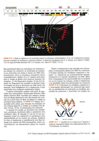 H 6opq rou nopoyovro o oro yevrrorepo ntroioro rou o),oev(upou: otr).qtrenrdpooetq -1 0 rot -35 0 nopoYovrog o enerrel-
vrT6r Kgr or neptoXrlg rou ouvfleovror p' euetrrrroug ouvdereg. To oXrlpo 6XeL npoooplioorel ono: D. G. Vassylev, elal., Nature 417 (2002)'.
712-719. AoUrt on6 Protein Data Bank 1lW7 D, G Vassylev, elal.,Nature 417 2002).712-719
Mro r<puotoMu<q 6o;11 tou oLoev(0prou oe oripnlot<o 1.t'
5vo xldopro tou unoxtvrlni, oe ouv6uoopr6 pre nsrpdpto-
ro Ue unoKrvqt6g oro ono[o ot r<].ri:vot tou DNA roro-
oreudmqxov ri:me vo nept5Xouv oto(ptomo (eUyr1
(,,etepo6(xLrovo)), 66erqov 6rr o o70 6pXetot Kotd r<rjpro
L6yo o' enogq ;re Bdoerg orov xtrcbvo-prr1 expoyeio tou
ororXe(ou -10, oro 6reupup6vo orotXe(o -10 t<ot orrlv ile-
ptoXrl tou 6tolcoptorrl xot ouve{(et vo 6rotqpe( ow5g
rg eno<p6g t<ot getd to (etritrtypro rou DNA outtlg qg
neproXqq. Aur6 entBeBouilvet 6tt o nopdyowog o efuot
or1trrowx6g orrlv ow(6pooq onodtdtoEns FnEnS)
H Xprio'n o-ehroetdriv pro{Brov e(vot t<owr1 oe npo-
retveg nou ovoyvop((ouv oMql.ou{eg 6(r}'orvou DNA
(BI6ne Ev5qto 28.6). Apwo[5o nou on5louv pero{U
roug 3-4 06oetg Bpiot<owot ornv (6to nLeupd qg o-51't-
Koq Kor yt'out6 e(vot oe 05or1 vo 6p0ouv o' enoq4 pe
yenovrrd (e0yq Bdoeov. H ElKOl'lA't3'17 de(Xvet 6n r'
oprwo[5o rord prlxoq ptog n].eupdg tqg neptoplg 2.4
trlq o-6lrro9 5pXowot o' enogrl pe rg Bdoerg ortg 06-
oerg -12 5og -10 rnq -10 otrtrr1).ou{og tou unoxtvrprl.
H neptoXrl 2.3 potd(et pre npo:teiVeg nou npoo66-
vouv 1.rov6rtrrovo vouxleivtxd o(5o rt epnl,5retoL or4v
ow(6pooq rn[nq. Ot neptoXSg 2.1 ru 2.2 (ro nto ouv-
flpnudvo rpqgo tou nopdyowo o) egnl'6rowot oqv
otrLqtren(6poon Ue rov nuprlvo tou ev(ripou. Eu<d(erot
611 6tror or nopdyoweg o npoo66vowot onq (6eg ne-
ptoX6g rou nuprlvo trlg RNA no).uprepdoqg, on6re "ov-
royrr:v((owotD yto neptoptopr6vo Udpoq tou nup{vo
rnq.
I-1op6l o nopdyowog o 6XeL neptoldg nou ovoYvo-
pi(ouv ouyr<enpt;tdveg Bdoetg oro DNA tou unortv4trl,
q N-teLrr<q neptoXrl tou eerJOepou nopdyowo o (ne-
proXrl 1.1), evepyolwoq Log ouroovoorotrttrrl neptoXtl,
onorpUnret qv noptoXrl np6odeoqg oro DNA. M6vo
6rov q 6Lopr6p<ptr:or1 rou rpononotq0e( on6 11 orjvdeorl
rou ue rov nuprlvo tou ev([p-rou, prnope( o nopdyowog
o vo npoo6e0e( erdLr<d ortg oMqLouX(eg tou unortvqtrl
H oduvopr(o tou etrerjOepou nopdyowo o
v' ovoyvolp[oer oMqtroul(eg tou unortvqt4 dleL orlpo-
o(o: ov npoodevdrov oe unoKtvrlr6g u.tg e).e00epq uno-
provo6o 0o pnopoUoe v' ovome[].et rqv 6vop[q tqg
06on -13-12-11*10-9-8-7
ElK0$iA 19.17 T' oprvo[60 ot2.4 o-5trtro tou o70 6pXovrot o'
enoqn Ue ouyrsrprpdveg pooetq orov rodxonoulrtrd rtrtivo qg
-1 0 otrtrqtrouXiog rou unortvrlrfl.
19.tr0 [lo),treg l-leptoX6q qg RNA llotruUepoonq'EpXovrot Apeoo oe Enoqrl pe rov DNA YnoxLulnl 525
 