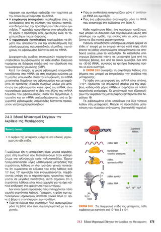 TC!cppaori KOL ouvfJewc; Kaeopil;el TT']V TOXUTT']TO µe
TT'JVonoia ea µeTOcppaOTei TO mRNA.
• H &mµ~Kuvo11 (elongation) nept11.aµp6veL 611.ec; nc;
OVTtopaoetc; an6 TT'] ouv0eOT'] ,OU npJnou nemtOl-
KOU owµou ewe; TT']V npoo0fJKT'J TOU TE:11.WTOLOU aµL-
vo~foc;. T' aµtvo~fo npoOTieeVTOL OTT'JV 011.uoioa eva
TT'] cpop6: T1 npoo0fJKT'J ev6c; aµtvo~foc; eivOL TO Ta-
xurnpo pfJµa TT']c; µeTacppaOT']c;.
• 0 T&pµaT10µ6c:; (termination) neplfl.aµpaveL Ta Pri-
µma nou anOLTOUVTOL yta TT']V ane11.eueepwof1 TT'Jc;
011.oK11.ripwµevT']c; no11.unemtotKfJc; 011.uoioac;: TOUT6-
xpova, TO ptpoowµ6Tto otiOTOTOL an6 To mRNA.
~LacpopenKec; oµaoec; E:nlKOUplKWV napay6VTWV
unoPorieouv TO ptpoowµano oe K60e OT6oto. Evepyeta
napexeTOL oe otacpopa OT6ota an6 TT'JV uop611.uOT'] TT']c;
TptcpwocpoptKrJc; youavivric; (GTP).
Km6 TT'JV evap~T'J, ri µLKPrJ ptpoowµLKrJ unoµovaoa
pooMveTOL OTO mRNA KOL OTT'] ouvexeta evwveTOL µe
µey611.ri unoµovaoa. Km6 TT'JV emµfJKUVOT'], TO mRNA
uaKLVeiTOL otaµeoou Tou ptPoowµmiou KOL µeTOcpp6-
£TOL oe TpmMTec;. (nap6n ou~ewc; µtMµe yta µeTO-
ivriori TOU ptpoowµm(ou KOTC! µfJKOc; TOU mRNA, 8LVOL
epLOOOTepo pea11.LOTlKrJ Tl tMa TT']c; e11.~ric; TOU mRNA
taµfoou Tou ptpoowµmiou.) Km6 Tov rnpµanoµ6, ri
pwTefVT'] KOL TO mRNA ane11.eueepwVOVTOL, evw Ol ~e-
wptOTec; ptPoowµtKec; unoµovaoec; OllOTOVTOL npoKet-
evou VO ~OVOXPT']otµOnOtT']eouv.
24.3 E101Koi Mnxav1oµoi E.Myxouv mv
AKpiBEIO me; METCJcppaonc;
1
BOOIK&I; &VVOl&I;
• H aKpf~£ta Tll<; µndcppaoT]<; £A£YX£TQl and £lOlKOU<; µT]xavt-
oµouc; 0£ Kd8£ 010010.
rvwpil;ouµe 6Tt ri µeT6cppaori eivOL yevtK6 aKptPfJc;,
C!pf'] OTT'] ouveneLO TIOU OlOnLOTWVOUµe OTOV K00op(-
ouµe TT'JV 0Mri11.ouxia ev6c; no11.unemtoiou. 'Exouv
npayµmonotrieei 11.iyec; 11.emoµepdc; µeTpfJoetc; TT']c;
ouxv6TrJTOc; M0ouc; in vivo , wOT6oo yevtK6 mOTeue-
TOt 6Tt KUµaiveTm oe KMµaKa mu ev6c; 11.68ouc; ova
104 ewe; 105 aµtvo~fo TIOU 8VOWµOTWVOVTOl. /aµpa-
VOVTOc; un6ljJT'] 6n ot neptoo6Tepec; npwTdvec; nap6-
0VTOL oe µey611.ec; noo6TT']Tec;, auT6 oriµa(veL 6n ri
ouxv6TrJTO M0ouc; eivm noM xoµri11.fJ yta va exet K6-
no10 eniopaOT'] OTO cpmv6Tuno TOU Kunapou.
~ev eivot 6µwa npocpavec; nwc; emTuyxaveTOl TOOO
xaµri11.11 OUXVOTT']TO M0ouc;. npayµmL, Tl cpuori TWV eµ-
n11.eK6µevwv µT']XOVLOµwv OTIOT£11.et Y£VlKO eeµa yt' Op-
8TC! pfJµma OTT']V eKcppaOT'] TWV yovtoiwv:
• nwc; TO evc;uµa nou ouveeTOUV RNA avayvwpil;ouv
µ6vo TT'] paori nou eivot ouµn11.ripwµmtKrJ µe TO eK-
µayeio;
• nwc; 01 ouveeTaoec; avayvwpil;ouv µ6vo
xa tRNA Kot aµtvo~fo;
• nwc; eva ptpoowµano avayvwpil;et µ6vo TO R
nou OVTtOTOlX£i OTO KWOLK6vto OTT'] 0eOT'] A;
Kaee nepimwori eernt eva nap6µoto np6P11.riµa:
nwc; µnope( va otaKpt0ei eva ouyKeKptµevo µe11.oc; an6
oMMrJPTl TT'JV 0µ600, TT'Jc; onoiac; 611.a Ta µe11.ri µrnp6-
l;oVTot TO LOLO yevtKC! xopOKTT']plOTlKO.
nteav6v OTIOlOOrJTIOTe un60Tpwµa µnope( OPXLKQ VO
e11.8et o' enacpfJ µe TO evepy6 KeVTpO KOTC! TUXT'J, aM6
enetTO TO 11.680c; unoOTpwµma anoppimoVTot Kot ano-
oeKT6 y(veTQl µ6vo TO KOT0/.1.T']II.O. To KOT0/.1.T']fl.0 un6-
0Tpwµa ppioKE:Tot n6VTa oe µetoljJT']cpia (µta an6 Ttc;
Tfooeptc; paoetc;, tva an6 Ta eiKooL aµtvo~fo, tva an6
TO - 30-50 tRNA) , ouvenwc; TO KplTrJpta OlC!KptOT']c; npe-
neL VO eivot OUOTT']p6.
H EIKONA 24.8 ouvoljJ(l;eL TT'] OUXVOTT']TO M8ouc; OTO
pfJµma nou µnope( va enripeaoouv TT'JV aKpiPeta TT']c;
µeT6cppaoric;.
Ta Meri OTT'J µeTOypacpfJ Tou mRNA eivot on6vta,
< 1o·6
. np6KetTm yta oriµaVTtK6 OT6oto yta TrJv aKpi-
Peta, Ka8wc; K6ee µ6pto mRNA µeTOcpp6l;eTot oe noM6
npwTe"tvtK6 aVTiypacpa. Ot µrixovtaµoi nou e~aocpaM-
c;ouv TT'JV aKpiPeta TT']c; µeTOypacpfJc; e~eT6l;oVTot OTO Ke-
cp611.oto 19.
To ptPoowµ6no eivOL uneu8uvo yta Mo Tunouc;
11.aewv OTT'] µeT6cppaori. Mnopei va np0Ka11.foet µua-
T6mori Tou n11.otoiou avayvwaric; (frameshift) napa11.ei-
LUXVO-rT)rn
MSou~
I
~ /dSo~ ~dITTl I
M£TOTOTILOT) I
nAma[ouovdyvwari~
/d9o~ I
oµtVOOKUAO-tRNA
t
/dSo~ 0µ1vo~u
-/d9o~tRNA I
10-6 10-s 10-4
EIKONA 24.8 LTO 01acpop£TLKd OTOOLa TT]<; µ£Td(j)paOT]<;, Ad8T]
ouµ~aivouv µ£ ouxvdTTJTO and 10·6 twc; 5x 10-4.
24.3 ELOlKO[ MT]XOVtoµo( EMyxouv TT]V AKpf~£la TT]<; M£Td(j)pOOT]<; 679
 