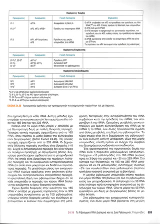 )
1::,ii:
r,--.:':1.,':: . ,:,:.
tF-1
tE o*t
tF-3
flporopu6reg
EF-TUt, EF-Gt
trE T.
EF.GS
[6to q4enrcj 05or1 oe r<dOe rRNA. Aur{ q pr60o6og 6Xet
enrpSQer vq KorooKeuooroUv l,emoprepq prowSLo 16-
oorou 165 6oo Korrou 23S rRNA.
Ko0dvq on6 ro r<6pto rRNA prnope( v' ono6o0e( pe
pro deuteporoyrl 6opn pre noM6g 6tor<prdg neproX6g.
T6ooeprg yevu<69 neprol6g oXq;rot(owor on6 to 165
rRNA, 6nou nep(nou or puo6g Bdoerg qg oM4trou{og
e(vor (euyopropr6veg (BL5ne Etr6vo 24.46).'E[t yevr6g
neproXdg oglprot((owot on6 to 23S rRNA. Ot [eXopt-
m6g 6(x).roveg neproX6q ouvrl0oq e(vot BpoXe[eg (<8
bp). :uXyd or drnl.ooroopr6veg neprol5g 6ev e[vot t5treeg
xor neptSXouv npoe(o16q pre o(euydptoteq Bdoetq. Iuy-
xp[oqro prow6].o 61ouv oXedtoore( yo to l.utolovdptord
rRNA (ro ono(o e(vor BpoX0rcpo rot nept5louv Lty6re-
peg neproX6g) Kqr ro euKopuorxd rurroponlool.tolrcd
rRNA (to ono(o e(vor ;ror<pritepo xot 6to05touv neproo6-
repeg neproX6g). To peyo).Utepo ;rqr<og rov euKopuorrt-
xriv rRNA rup(cog ocpeiletor otqv on6rrqoq ol),q-
)'.ouXuiv nou owrnpoocone6 ouv enrnp6ooeteg nepto16g.
H xpuorotrrrn SoUn rov prBoorollodrov 6e(1vet 6r oe
xdOe unopovd6o ot neprol6g tou r0ptou rRNA 6tn).d:-
vowor ove(dprrlro Kr 51ouv 6toxptr6g tono0eobg.
'EXouv Fpe0e( 6rotpop5g mqv u<ov6tqto tou 165
rRNA v' owrdpd ;re X4pur<o0g nopdyoweg 6rov or 30S
unopovddeg ouyrp(vowor pe rq 70S ptBootopdtto:
undpXouv en(o4g StoEop5g ;reto(rj trrlv etre00epcov pt-
Booropor[ov rr ere(vov ilou oupperSXouv mq prerd-
------l------..* - r
^
! elFlA ! Anogpdooet q gdol A ! 0 elFl A
^unopoq0ei
Tov elF2 vo npotoOtl_oet nlv npdoOeon tou Met- i
tRNAiMet oro 40S. Entonq npooyer rn dtdotoorl Tov unopovo0ov
elF2, elF3, elFsB* I ffooOoq rou evop*nptou IRNA | 0 elF2 eivot Uto GTP6on
. 0 elF3 oreyerpet ro oXlgolopri rou TprloToyouq oupnldxou, qv
npdodeon Tou 0To 40S, r<006q enlolq qv npdodeorl xot oopcoorl
rou mRNA
elFl, elF4 oripntroro, , lpoo6eon rrlq ptxprjg 0 elF5B epntrSrerot oqv e(oo6o Tou evopKnlptou tRNA t<ot elvot
elF3 ; unopovobog oro mRNA ltto GTPdorl
i
,
!--,+ i;=* i ;
I eEFlo+ i npooDeon GTP i
I eEFlp, eEFly I AwoMoyrl GDP !
i eEF2E I Merordnrol rou prpootogoriou
i '
t -_-L-*ffi ---4 i
flpoxopudrcq i Europudlreg
RF1 : eRFl , Avoyvrirprorl UAA/UAG : :
Rtz eRFl Avoyvoprorl UAA/UGA
RF3- eRF3 Ardyepon otrtrou Ctov) RF(s)
*OL
lF-2 xot elFSB dXouv ouotroyio otrtrr1trouXiog
-01
lF-2, EF-Tu, EF-G rot RF3 dxouv ouotroy(o otrtrr1trou1(oq
'01 EF-Tu roL eEFl o dXouv ogotroy[o otrtrntroux(oq
r0L EF-G xot eEF2 6Xouv ogotroy[o otrtrntrouxioq
Aeuoupyrreg oUotroy(eq Tov np0Kopuolr6v rr europurrrur6v nopoyovTolv Tnq UeroQpoonq.
epoon. MeroBoLdg mqv owrdpoortr6rlto tou rRNA
ouprBo(vouv xord rlv np6o6eoq tou mRNA, roJV uno-
;rovd6ov r1 rou IRNA. Oprop5veg ;retoBol6g owtKoro-
nrp((ouv puo dpreo4 olL4l,en(6poorl rou rRNA pe to
mRNA r1 to IRNA, evdr 6LLeg npoxolotiwot Spgeoo
on6 dMeg peroBoLdg orrl 6o;tq tou ptBoool-tor(ou. To
r<ripro or1;re(o e(vor 6n 1 dropr6prpcoon rou ptBootol.totl-
ou e(vor eudtrucrq rord t1 perdgpoorl, t6[oq qq UtKp]iq
unopovd6og, enet6rl np6net vo etr5yXet qv orp(Beto
tou (euyopcirporog rr.r:6txov(ou-owtrro6u<ov[ou.
'Evo lopom4ptonr6 rnq npororqyoUq 6oprrlg rou
rHNA e(vor 11 nopouo[o pe0u].topr6vov roto].o(ncov.
Yndplouv -10 pre0ulogddeg qro 165 rRNA (r<up(tog
npoq ro 3'drpo rou prop(ou) t<ot -20 oro 23S rRNA. Ito
rUrropo rov 04trootrrirv, to 18S rot 28S rRNA peto-
<p5pouv 43 t<ot 7 4 pre0uLopd6eg, owtoro(Xog: ouvencbg
-2Y" rav vourl.eort6(ov e(vot preoutrropr5vo (nep(nou
rprnldoro noooor5 ouyrprnxd pre ro Borcrrlpto).
H peydLq prBooroprr4 unopovddo en(oqg nepulXet
6vo pr6pro 5S RNA 120 B6oeov (oe 6Lo to ptBootoprdtro
ercr6g tclv ;.utoXovdpror<cbv). H oMqLouX(o tou 55 RNA
e(vor Lry5repo rol.d ouwrlprlpr6vrl ouyrprtrd pre rg otr-
Lrlloulieg rov r<ripuov rRNA. 'Ol.o to ;t6pto tou 53 RNA
ep<pov[(ouv pro 6o;14 pre (euyopropr5veg Bdoetg oe pe-
y6l.r16mooq.
Iro ptBoocoprdrro tou euKopuortKo0 xurroponl,6-
opqroq, 5vo dMo pu<pd RNA Bp(oreror orq preydtrrl
.:,,,r To Pipoorr,rptro RNAAronepvo rotrtgA0o PtpootopLxec Ynl-:,::.: 6gg
l-evml Aenoupy(o
 