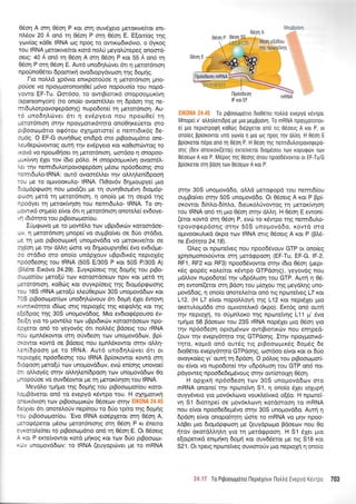 06o11 A orrl 06o11 P xor orq ouv6lero perorrvefuor enr-
nLriov 20 A on6 rr1 05on P mq 06or; E. E[on(og r4g
ytov(og r<dOe IRNA cDq npoq ro owrrcodrx6vro, o 6yrog
rou IRNA peroxrvefuot r<otd no),ri preyoArjtepeg onootd-
oetg: 40 A on6 q 06oq A orr'1 05o4 P r<or 55 R on6 r1
06orl P orrl 05or'1 E. Aw6 uno64l.c0ver 6l q preror6nrorl
npouno06ra 6poonr<q ovo6ropydvoon rnq 6oUriq.
l-ro noMd Xp6vro enrrpotodoe 4 peror6nron Llno-
po{oe vo npoyl-loronorrl0e[ p6vo nopouo(o rou nopd-
yowo EF-Tu. Om6oo, ro owrBronr<6 onopoopur<(v4
(sparsomycin) (to ono(o ovoor6l,).er q 6pdo4 rnq ne-
mr6uLorpovogepdoqg) nupodote( rr1 peror6nrorl. Au-
16 uno64),civer 611 4 evSpyeLo nou npootOe( 14
peror6nror; ornv fl poyponr6rlto onoO4reUeror oro
ptBoorr:prdtro oe6rou olrlprorrme( o nenrrdrr6g 6e-
op6g. O EF-G ouvr'1Ocog enr6pd oro ptBooro;rdno one-
)reu0epri:vowog our4 r4v evdpyero ror ro0ror6wog ro
rxov6 vo npoco0foer 14 peror6nto4, roorSoo rl oTropoo-
guxftn4 6Xet rov [6ro p6tro. H onopoopur<(v4 ovoord].-
Aer rrlv nemr6u).orpovogepdoq pr6oo np6odeorlq fio
nemtduLotRNA: our6 qvoordl er qv oM4Len(6poo4
rou Ue ro oprvooKuLo- IRNA. l-I0qv6v 64ptoupye( puo
6rop6pgolo4 nou prord(er ;re t4 ouvqOro;rdv4 6rop6p-
gtooq prerd 14 peror6nrorl, q ono(o pre q oerpd r4q
npodyer tr1 peror[v4o4 rou nemr6utro- IRNA. To oq-
gowx6 orlpreio efuor 61 4 peror6ntorl onorele( ev6oye-
vr; rdr6qro rou ptBoocol.ror[ou.
ljpr<provo ge to prowSLo rov uBptdu<rilv r<otoordoe-
rov, 4 perot6nrorl prnope[ vo ouprBofver oe 60o srd6ro,
Ue rn Uro prBoooprrrl unopovd6o vo petorrve[tor oe
oxSon Ue qv dtr.q c6ore vo 6r1puoupy40e( 6vo evdrdpe-
oo mddro mo ono(o undpXouv uBpr6u<rig neptolSg
np5o6eoqg rou IRNA (50S E/30S P ror 50S P/30S A)
(Blene Erx6vo 24.29).Iuyrp(oerg r4g 6oprlq rou prBo-
orol.ror[ou pero[U trov roromdoeov nprv ror perd tr1
petot6nrorl, r<oOcig xor ouyrp(oerg qg Sropr6peoonq
tou 165 rRNA gero(rj el,eU0epov 30S unopovddorv rot
70S prBoocol.ror(rov uno6rllrilvouv 6tr 6op4 SXer 5wovr1
xlqrtr6rrlto r6(cog ong neprol6q qg r<eqo).rig Kor rrlq
efd6pog rng 30S unoprovd6og. Mto ev6rogdpouoo 6v-
6er(q yo to 1-row6l,o trov uBpr6u<rilv r<oroordoeov npo-
6pleror on6 ro yeyov6g 6rr noM5g Bdoerg rou rRNA
nou epnfuirowor orrl o[v6eoq rov unopovddtov, Bpi-
oKowor rowd oe Bdoerg nou epnl.6xowor mrlv oMrl-
Aeni6poorl pre ro tRNA. Aur6 uno64lcirver 6rr ot
neproXSg np6odeoqg rou IRNA Bp[orowor rowd or4
6t6rpooq pero[ti rov unopovd6otv, ev6 en(o4g unovoe(
6n oMoy6g orrlv oM4Len(6poor; rov unopovddcov 0o
ynopo0oe vo ouv66owqr Ue rrl preror<(vqor1 rou IRNA.
Meyd),o rUngo qg 6op{g rou prBootrlpor(ou roro-
LopBdveror on6 to evepyd r6wpo rou. H oXqpolr<4
onem6vro4 r<ov ptBooropur<riv 06oetov orr'1v EIK0NA 24.45
6efiyer 6tr onoreloriv nep(nou ro 6Uo tpfuo qg 6oUnq
rou prBoocol.ro{ou. 'Evo IRNA eto6pXeror orn 06oq A,
prrog6,peror prSoco perot6nronq orn 06o4 P rr Snero
uyxmo.trefuer ro prBooroprdtro on6 q 05or1 E. Or 06oerq
A xot P ercre(vowor rord ;r4r<og Kor rov 6tio prBooro;u-
xtiv unopovd6ov: ro IRNA (euyopriver ;re to mRNA
E|(0NA 24.45 To prpootoporto dLo06rer notrtro evepyri r5vrpo.
Mnope( v' otrtrr;trenrdpo Ue Uro Uepppovq. To mRNA npoyUoTonor-
e( gro neprotporprl roOdrg DLepleror ond lg 06oerg A ror P, or
onofeg pp[oxovrot un6 yov(o 4 Uro oq npoq qv otr1. H 06oq E
pp(oreror n6po ond U 05oI P. H 0eo1 qg nenldutrorpovoqepo-
onq (dev onerxovf(eroL) exre[vrrot droprioou rtov xopurptirv rotv
OSoeorv A xor P. M6pog rr;g 06or;q 6nou npooD6vovror or EF-Tu/G
ppforeror oq pdo4 rov 0tioealv A xor P,
m4v 30S uno;.rovd6o, otrtrd ;rerogopd rou nenrtd[ou
ouprBo(vet ornv 50S unopovddo. Or 06oetg A ror P Bp(-
oKowor 6[n].o-6[n],o, 6reurol.rjvowoq rrl ;reror<(v4oq
rou IRNA on6 q puo 05or1 orqv dM4. H 05oq E ewonG
(eror rowd orrl 05o4 P, evdr ro r6wpo tqg nemrduLo-
tpovoqepdorlq ornv 50S uno;rovddo, xovrd oro
ol.rwoorulrrd drpo rov IRNA ong O5oetg A ror P (B).6-
ne Ev6trya 24.18).
'OLeg or nporeiveg nou npoodrivouv GTP ot ono(eg
Xpnorponororiwor orrl pretdEpooq (EF-Tu, EF-G, lF-2,
RF1, RF2 ror RF3) npoo66vowor orqv 6ro 06o11 (pept-
169 <popdg rq^,e(ror r<6wpo GTPdo4g), yeyov6g nou
prdMov nupodore[ qv u6p6truor1 rou GTP. Aur4 4 05-
oq ewon(eror ar4 Bdorlrou prioXou trlg preydLqg uno-
povd6og, 4 ono(o onotel,efuor on6 rtg npotefveg L7 xor
112. (H L7 e[vor nopoMoy4 qg L12 r<or nepdXer pro
oretulopd6o oro o;rworetrrr6 dxpo). Er<r5g on6 out4
qv neproXri, ro oUpnl.oKo rnq npcoreivrlg 111 p' 5vo
rpqpo 58 Bdoeorv rou 23S rRNA nopdXer plo 06oq yro
rrlv np6o6eoq opropr5vov owrBrorrr6v nou enrlped-
(ouv qv evepy5r4to rqg GTPdoqg. It4v npoypotrr6-
tqto, r<oprd on6 our5g rrg prBoocrlpru<69 6opr5g 6e
6ro05ret evepy6r4ro GTPdoqg, coor6oo e(vor xor or 6rio
ovoyxo[eg yr' our4 rr1 6pdoq. O p6].og rou prBooroprot!
ou efuor vo nupo6oreirrlv udp6Luoq rou GTP on6 no-
pdyoweq npoodede;rdvouq orrlv ow(mo rXq 05or1.
H oplrr<4 np6o6eo4 rrr:v 30S unogovd6ov oro
mRNA qnore( qv nporeffi 51, 11 ono(o 61er roXupq
ouyydvero yro prov6r<trtovo vouxleivrrd o[5o. H nporei'-
v4 51 6rorqpe( oe prov6r<l,ovq xotdmoorl ro mRNA
nou efuor npoo6e6e;rdvq orrlv 30S unogovd6o. Auq 11
6pdoq efuot onopofrrlrr'1 d;ore ro mRNA vo prlv npoo-
).dBer pro 6rop6p<pcoo4 pe (euydptopo Bdoeo:v nou 0o
rlrov or<ordl.L4Lrl yro q pretd<ppoor1. H Sl 5Xer puo
e[orpetu<d enrprrlrrl 6opr4 r<or ouv66eror pe trg S18 r<or
S21. Or rperg nprrrreiVeg ouvroroUv pto neptopl 11 ono[o
Odon A
-:-_-*- -- |
r.,l:,:5J"
I
?:+.'; t Ta Prpooolpono llepreXouv il0trtro Eveoyo (a,, :: 703
 