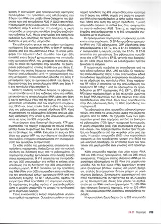qpoon. H ovoyvc0proq Uroq npoKoputonrqg ogeqp(oq
nepil.opBdver rrlv np6odeoq puog oLLrlLouX[og mo
3'dxpo rou rRNA oro pror(Bo Shine-Dalagarno nou Bp[-
oKeror npw on6 ro ro6u<6vro AUG (n GUG) oro mRNA.
H ovoyvtirptoq ev6g europuolxo6 mRNA nepil.qrBdver
np6o6eoq mqv 5' rol.Unrpo: mr1 ouv61ero, 11 purprl
unopovd6o perovooreOer orq 06o4 6vop[qg ovo(rpdrv-
tog xo6u<6vro AUG. M6Lrg ovoyvrrlp(oet 6vo rordMqLo
xtodrx6vto AUG (ouv4Ooq, ro npcirro nou ouvowd), ou-
6ud(eror ;re puo preydLrl unoprovddo.
'Evo prBoorrlprdno pnope[ vo pretorpSper rour6lpovo
touLdXrorov 6rio o1-rwooxulo-tRNA: n e6on P rotoLopr-
Bdveror on6 6vq noLunemr6u).otRNA, ro ono[o pero-
rp5per rqv nol,unenrr6rrrl oLuo(6o nou 5Xer 4611
ouweOe(, evcil q 06o11 A 1pr1or;ronoe(ror yro qv e(oodo
ev6g o;uvooxutro{RNA, nou preroqdper to en6pevo o1.u-
vo[ri ro ono(o 0o npomeOe( orrlv o].uo(6o. To Bor,rrl-
ptord prBooopdrro en(oqg 6ro06touv puo 06o4 E,
6ropr6oou qg ono(og 6rdpXeror onoorutruoprSvo IRNA,
nporori oneLeuOepco0e( perd rn Xprlorpono(qor1 rou
orrl perdgpoorl. H notrunemrdu<{ o},uoi6o orq 05or1 P
petog6petot npoq ro ol.rlooxulo-tRNA rrlg 06oqg A,
6rlproupyc0wog 5vo onoorul,uog5vo IRNA orq 06oq P
xt dvo nemr6u).otRNA orq 06o4 A.
Merd rq oUv0eoq nemr6xoti deopoil, ro ppooroprd-
ro peroron((erot rord 6vo rodx6vro n6vo oro mRNA,
perorwcilwoq ro onooKulru:;r5vo IRNA pSoo orq 06o11
E r<or to nemr6ulo-tRNA on6 q 05or1 A orrl 06oq P. H
petot6ntorl roroL0eror on6 rov nopdyowo enrpn'1xuv-
oqg EF-G ror, 6nog noMd dMo orddro rrlg )reroup-
y(og tou ptBoorrrprot(ou, onone( u6p6Luoq GTP. Kqrd
rr1 peror6nroq, ro prBoorrlprdno 66p1etor on6 puo uBpt-
6x4 xordmoon ornv ono(o q 50S unoprovd6o peroxt-
ve(rot tog npog rnv 30S unoprovd6o.
H perdqpoorl efuor 6onovqpq 6upyoo[o. ATP pq-
orponore(ror yro nopoXrl ev5pyerog oe noMd m66tq,
preto[6 dltrrov ro rp6prrr:1.ro rou IRNA pe ro o1.rwo(ri rou
r<ot ro l,eilNypo rou mRNA. Ercrq-rdror 6tr 5trrg ror 90%
6l<ov rrov gop(olv ATP nou ouw(0ewot o' 5vo Bomrlpro
nou ou(dver ypnyopo r<orovotrc0vowor orq ouvopprol.6-
ynon rov o1.rwo[5rr:v oe nporetvegl
Ie rd0e srddro rqg ;rer6<ppoorlg onomo0wqt ent-
np6o0eror nopdyoweg. Ko0op[(owot on6 rqv xur].trr1
o0v6eoq ror 6rdoroori roug on5 to ptBootrlprdtto. Or
nopdyoweg 6vop[r1g epnMrowor orqv dvop[r1 dvop[q
orouq npoKclpurireq. O lF-3 onotte(tot yto rrlv np6o6e-
orl rov 30S unopovd6<ov mo mRNA rt en(o4g efuot
uneriOuvog yro rn 6rofipr1or; qg 30S uno;rovd6og o'
eLe60epq Uopgn. O lF-z onone(ror yro rrlv np6o6eoq
qq fMet-tRNAt or4v 30S unoprovddo ru eivot une0Ouvog
yro rov onoxtreropr6 6trtrrov o1-uvoorul.o-tRNA on6 qv
ow[6poor1 6vop[qq. To GTP udpoLtietot, og6rou to
evoprcr{pto IRNA npoo6e0e( qro oU;rn}.oro Svop(qg.
Or nopdyoweg 5vop[49 np6ner v' one].euOepo0otiv
drore q geyor4 unopovddo vo prnope( vo ouvduoote(
pre ro o6prnLor<o Svop(r1q.
Iroug europutineg 4 Svop[r1 nepil.oprBdver preyo].rj-
repo opt0pr6 nopoy6wrov. Oprop6vot epntr6xowor orrlv
op1Kn np6o6eor1 rqg aOS unoprovdEoq orqv xofurintpo
rou 5'6rpou tou mRNA, oqpe[o oro ono[o ro arupr<rr1-
pto IRNA efuor npoo6e6eprSvo pe dM4 o;166o nqpay6rF
tov. Merd on6 ourl qv oplrrrl np6o6eorl, n Utxp{
unopovd6o oopc0ver ro mRNA 5og 6rou ovoyvcopfoer
to o<oo16 r<ro6rx6vto AUG. 'Enerto, ot nopdyoweg
6vop[qg onetreuOeprilvowor rr 4 605 unogovd6o ouv-
6ud(eror pe ro o0pnl,oxo.
Or npoxopurrlnro( nopdyoweg enrtrr{r<uvoqg epn},6-
Kowor. orqv enrprqruvoq. O EF-Tu npoodSver opuvooru-
).otRNA oro 70S prBooroprdrro. GTP u6pol0eror 6rov
oneLeuOepc0veror o EF-Tu, evrir o EF-Ts ononefuor yto
v' ovoyevrrqOe( q evepy6g Uopgri rou EF-Tu. O EF-G
onomefuor orq peror6nroq. Iro ppoocoprdrro npoo66-
veror efue o EF-Tu e[te o EF-G, yeyov6g nou 6roorpo],G
(er 6n rdOe Bqgo np6ner vo o),oxLqpoOe( nporoU
(errv{oer ro en6pevo.
O repporroll6g ouprBo[ver oe onoro64nore on6 ro
tp(o er6rd ro6x6vro UAA, UAG ror UGA. Or nopdyov-
reg oneLeuO6poonq rd(rlq 1, nou ovqyvop(ouv er6u<d
to rrrl6rr6vro repprortopro0, evepyonoro0v ro prBootogd-
no oe u6p6Luon rou nemr6ul,o-tRNA. 'Evog nop6yov-
rog RF rd[49 2 qnore(ror yro rnv one],euO5poon rou
nopdyowo RF rd[49 1 on6 ro prBootoprduo. Or npoo-
6e6ep5vor pe GTP nopdyoweg lF-2, EF-Tu, EF-G ror
RF3 6Xouv nop6poro 6op(: or 6tio rel,ewo(ot ;.u1.roriwor
q 6ogrj RNA-np<oreivcbv rurv 6Uo np6rrov 6rov e(vor
npoo6e6eg5vor oro IRNA. 'OLor rouq npoo66vowor
orrlv (6to ptBooogrr( 06o1, tr1 06oq np6o6eonq rou
nopdyowo G.
To prBoocoprdrro efvor otr:poil6ro prBovoux],eonpro-
reivdrv, oro ono(o ro preyolUrepo prSpog qg pd(og no-
pdXetor on6 ro rRNA. To oXqporo 6Lcov tcov prBo-
orrlpo{tov yevu<d e(vor nop6trroro, oor6oo to Borcrrlpro-
xd p$ooco;rdtro (70S) dXouv neprypoge( Lemopreprirq.
H pxpri unopovd6o (30S) 6Xer oupneopSvo ofnUo, U'
6vo "oriuo", nou nepdXa nepkou ro 60o rp(o rqq pd-
(oq rot 6roXrr:p((eror on6 rqv "xego[rl" p6otrr ptoq oXt-
oUnS. H geydLq unopovddo (50S) e(vor neptoo6tepo
orporprrrj pre 6vo npoe[61owo ";r(o1o" mo de[td t<ot
Uto (KewptKli npoe[oX(". Ot ewon(oetg 6ov tcov npol-
reivrilv orrl ptr<pq provdSo e(vot yvoor6g rotd npoo5yyt-
on.
Kd0e uno;rovd6o neptdXet 5vo pr6vo x0pto rRNA,
165 r<gr 23S oroug nporopucbteg, 18S xot 28S oroug
europurireg. Yndplouv en[or1g etrdooovo rRNA pe ne-
proo6repo o[roorlpre(<oto to 55 rRNA orrl peydtrrl uno-
provdSo. Kor ro 6rio xrjpro rRNA e;rrpovf(ouv ertero-
;i6vo (euydpcotrro Bdoeov, rup(cog un6 propgt'1 FpoXd-
cov, orelr6g (euyoptog6vtov drnl,drv pr[oXutv Ue Uov6-
xLrovoug Bp6Xoug. Iuwqpqpr6vo Xopocnptortxd oto
rRNA towonoroUwqr ouyxp(vowog ttg ollqtrouX(eg
pe rrg deureporoye(q 6ogdg nou pnope( vo oledto-
oroUv yro ro rRNA noxfi.tov opyovtoprcbv. To 163 rRNA
5Xer r6ooeprg 6ror<ptr5q neproX6q, evd: ro 23S rRNA
6[r. To europurottrd rRNA 6ro06rouv entnp6o0eteg ne-
pro16g.
H rpuoroMu<n 6oUri 6e[Xyet 6tt q 30S unopovd6o
24:i l]eprtrnUn 709
 
