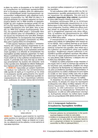 rn 96on rou npSnet vo (euyopdroet ge rqv npc0rr; Bdorl
rou owtrrodrxov(ou tou ow[orotXou ol.twooru].o-tRNA.
Aw6 ro (euydpropro ouprBo(ver pr5oo oro p$oocoprdtro,
6nou 11 oM4Len(6pooq ;reto[ri oupdrqpoptottt<tilv tpt-
vouxleon6[tov oroOeponotefuot pSoto e[openrd ourrrl-
prlpr6vov voux.l.eott6(tov tou 165 rRNA orrl 05or1 A. H
ouorqpn enrnpncnl rou ouvolu<o0 o;q4porog tcov (euyo-
polpr6vov Bdoeov on6 to rRNA enmp5net vo npqYporo-
noq0e( 51t pr6vo ouprBcnrx6 (euydpopro peto[0 A-U t<ot
G-C ong 6rio npcirreg 06oetq tou ro6tt<ov[ou qI d Kt en[-
np6o0ero (euyoprilproro or4v rptrrl Bdor1, 6nou ot eTIo-
<p6g rou rRNA e(vot Lty6tepo ouprntrqpoprorxdq. Iuve-
nri.rq, 5vo ol.rwooruLo-tRNA prnope( v' ovoyvrop((et ndvol
on6 5vo r<todx6vto pt5oto rov enmp6o0erov, Ul'l Kovovt-
r<drv (euydrv nou enrp6nowot on;v rpkq 06o11. Enmtr6ov,
or olrltrenr6pdoetg tou (euyopdr;rotog (oroq enrlped(ov-
ror on6 rrl pero-Ueroypogrrrl tponono(qoq rou IRNA,
rd(oq ;16oo r1 og6otr:g 6inLo oro owxtodu<6vto.
H rdoq Xqpxtirg nop6ptouov oprvo[5tov v' owmpooo-
ne0owor on6 ouyyevn rto6tr6vto el.oXtoronote[ lq ent-
mcboerg rcov gerotrtrd[eov. Au(dvet rrlv nt0ov6rr[o Uto
pr6vo ru1o(o oUoyt Bdoqg vo prlv npoxotr6oet owxotd-
orooq oprwo[6og r1 vo o6qyrjoet oe qwKordqroorl nou
nepil.oprBdver optwo(5o nop6protou loporcqpo. l-to nopd-
6erypo, 4 predMo[r1 CUC npog CUG 6ev 6Xet xdnoro en[-
nroorl enet6rl rorro d[o ro6tx5vto qwmpoooneUouv rq
leur(vr1. H perdllo[q CUU npog AUU 5Xa og onor6ls-
o1.ro owu<otdoroon rnq treur<(vr1q on6 tooLeurtvq: ourd
ro 6rio oprvo[5o e[vor u6p5tpoBo rot nt0ov6v 6todpopro{-
(ouv nop6proro p6Lo ornv rtodxonototlprevrl nponetvq.
H Ell(0NA 25.2 nopouotd(et puo ypqqtxli nopdoroorl
rou opr0proU ttov rordrrov(ov nou owtnpoooneUouv
r<dOe oprwo[0 oe oX6o1 pre q oulv6tnro pe tqv ono(o
ro ouyKeKprp6vo opuvo(ri Xprlogonote(tot ortg nporei-
veg (oro E. coli). l-evu<d, ro ouvq0Sorepo ogtvo[6o ov-
nnpooconeUowor on6 6Uo rl neptoo6tepo ro6tt<6vtq.
Aw6 uno6qtr6vet 6l ouv6B4 rdnoto Betrttorono(qoq
Leu .
rou yeverrKoU r<ci6u<o ovorpoptr6 Ue rn Xprlotgototqtrl
rrov o1.rwof6tov.
To tp(o xcr:6tr6vto (UAA, UAG xot UGA) nou 6an or
rnpoorone6ouv o1.rwo(5o XpnotUonototiwot et6xd yto
rov repuqnopr6 qg pret6gpooqg. 'Evo on6 our6 to
xor6r x6vro rep gorro;.rof (stop codons) orl poto6orc[
to r6Log rdOe ovotXro6 ntroto(ou ovdyvooqq.
Iuyr<p[oerg otr],r1].ouXtc0v DNA pe trg ow(motleg
notrunemrdx6g o).Lql,ouX(eg onorol,0mouv 5r rq Kto-
6tr6vto 6Xouv ro (6to v5rlpro t6oo qro porrtlpto 5oo xot
orouq euKqpurilreg. Iuven6g, mRNA ev6g e(6oug ouvrl-
0og prnope( vo Ueroepome[ ocoor6 in vitro rl in vivo
on6 ro UsrogpoortK6 pr4Xovtog6 ev6g 6Mou e(6oug.
'Etor, To ro6rr6vro nou Xpnotponototiwot oro mRNA
ev6g efdoug 6Xouv to (6ro v6rlpro yto ro prBootopduo
xor to IRNA otrrov er66v.
H orroupevtr6rrlro (p' el,dlrmeg e(otp6oetg) tou
xci6rro e(vor 5vder[r1 6rt r<o0tep604xe notr6 nprilrpro ro-
rd rqv eESLtEn. 'lorog o r<cir6xoq (ex[vqoe ge pro npcot6-
yovrl prop<prj, orrlv ono(o Lty6repo r<o6x6vto owtnpo-
odlneuqv ouyxpttu<d l,iyo o1.two[6o, (oolg or<6ptr1 rot pt'
5vo ro6rx6vro yro onorodqnore pr6trog ;rtog opr66oq
opuvo(6cov. ArprB6orepo vorlproto t<to6trov[tov Kt eTIt-
np6o0ero oprwo(6o eroq104r<ov opy6tepo. Mto nt0ov6-
r4ro e(vor 6r opXu<6 Xpnoqonotoriwov g6vo 6tio on6
nq rperq Bdoetq r60e ro6u<ov(ou: 11 6tdxproq orrlv tp(-
q 06o11 (orog e(eLiX04re 6rPrpo.
H e[6h[q tou t<til6xo prnopoUoe vo 6Xet (noY(ioet,, o'
5vo oqpre(o rord ro ono(o rc oUorrlpro eile r<oroore( 16-
oo notr0nLoro tiore onotodrlnore ;retoBotrrl oro v6qpro
rcov r<rodu<ov(rrlv 0o dtordpoooe rtg undpXouoeg npotei'-
veq ;r6ou: prq ono6errcilv ogrvo(u<riv unorcnoordoeov. H
oxoupevx6rqro rou rtil6u<o uno6rltrdlvet 6n ow6 np6net
vo ouv6Brl oe 16oo npr6tpro orddto riore 6trot ot dprBtot
opyovrol.ro( npo6pXowor on6 rqv (6to 6e(opevq opX6yo-
v<ov rurrdpov 6nou ouvSBq ro .mdyoUo, tou rc06u<o.
Or e[orp6oetq rou otKoupevtxoti yevettxoti rril6tro
e(vot ondvreg. Ot oMoySg oro v6rlpro tou np<rltopltroU
yovr6uill.rorog ev6g e6oug ouvqOcog orpopotiv oro Ko-
6rx6vto repportopoti. l-ro nopdderygo, o' 5vo My-
coplasma, to UGA xtrl6tronote( tpunto<pdvn: oe
opropr6vo e(6r1 rov BLeqopt6or6v Tetrahymena Kot
Paramecium, ro UAA r<or UAG rro6tronotoriv yLoutqt[-
vq. Ium4potu<6q oMoydg tou x66tro 6Xouv ouprBe(
p6vo oro prolovdptor6 DNA (BL6ne Ev6trya 25.7).
25.3 H Avoyvtirpron Ko6troviou-
Avrrrtrr6rroviou ileprAoUB6ver Aord0eto
* l-lotrtrontro rordtrovro ttou ovTrnpooone0ouv ro Ldto ol.ttvo[u
ouXvorepo 6rorp6pouv oq 05or; rqq tpiqq poo1q.
* Aoro0eto oro (euyoprrrlro pero[0 qq npriqg poolg rou ovrt-
ro6trov[ou ror qg rp(rr1g Boonq rou rodtrovlou nporunret
ono rr1 Xotropdrepq enu1prlorl rou (euYoptitporog ono ro
vourtreor(dro rou rRNA oq ptpootogurl 06oq A.
10
F
.=
P
o
=b
d
d
.a
P
o
b
o
E
B
Glu .
^ Lvs.
o ' lle.
^
Met. g;s.
a Cvs.
Trp .
. AIa
. Gly Ser .
. Val
. Thr
. Pro Arg .Aso .
Gld 'Asn .
4 Phe.
Tyr .
a
'.rr:;, ri, :, n.o*r0,.il'';o,;H.iJ.,, qs ouxvoqros
Xprlolq oprvoE6tov ortg nptorelvsq Us Tov optOpo rtov rotdtxovltrlv,
nou ro0opf(ouv ro oprvo(u. YnopXet pto e[o(peo1 Yto T0 optvo-
[eo, nou roOopf(ovror on6 duo rodu<ovto, ro ono(o urpiorovrol oe
eupu tpoouo ouxvorr[ov.
25.S H Avoyvtirprorl Ko:dLxovlou-Avrxtodrrov(ou I-lepilqUBdvetAm60eto 711
Boorreg evvorcg
 