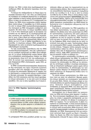 Kdwpou rou RNA n ono(o e[vot ouprnLrlpoporrr{ rou
np66poprou IRNA. Oo e(eroore( nepor6pto anlv Ev6-
uyto 23.8.
To 6v(upro nou ene[epyd(owor ro 3'drpo 61ouv ne-
prypoge( roLrirepo aro E. coli,5nou puo ev6ovoudr,e6-
or1 nupo6ore[ qv owbpooq 6roonrilwog ro np66popro
pr6pto r<o0o6u<d r<r 6nero noMSg e(ovouxi.edoeq Uoh-
6[(ouv ro dxpo oe roteU0uvoq 3'-5'. H ene[epyoo(o rou
3'dr<pou rou IRNA orouq euKopurireg en(oqg neprl,op-
Bdver noMd 6v(u;ro. H npooOrirrlrou 3'-CCA r<orol0e-
tor on5 ro 5v(upro IRNA vouxi.eon6ul,orpovorpepdorl,
nou l,emoupye( o4 RNA noLupepdo'q ove[dprqrq on6
erproye(o. Me dMo L6yro, ro 6v(u;ro npoo0Srer er6rd
C, C ror A cnnv oMqLouX(o 1op(g vo (euyopriver qv
r<utoo[vr1 Kot rrlv o6ev(vr1 pre rrg ouprn].qpoporu<69 Bd-
oerg youov(vqq Kqr oupoKiLqg ndvo o' 5vo erpoye(o.
Aw( yt' ou"r6, 4 6ro 4 6opri rou ev(6prou enopre( yro vq
qXq godoet 6ro6oXx6g oupntr4 prrrporx6q O5oerg np5o-
6eor1q yo rtg C, C ror A. Ko0c0g npoor(0ewor rcl vou-
r.treor(6ro, ro oOpntror<o ev(Ugou- IRNA peroBdMet tr1
dtopr6pgroo4 rou rilore vo xoroore( oupnArlpcol.ronr6 pe
xdOe 6ro6oXtx6 vour<Leor(6to.
To rp(o voux.Leor6tq npomiOewor on6 r4v IRNA
vourLeorr6uLorpovogepdoq, 6rov 6ev rodrronororjv-
ror orn yovr6torci oM4Loul(o rou IRNA. E(vor evdrotp6-
pov 6tr ro 5v(upro 6ro6popor((er en(o4q Boorr6 p6Lo
orqv enrdr6pOoorl roreorpoprpr6vcov 3'dxprov rou IRNA
oe opyovroporig, 6ntog to E. coli, nou xolduronorcAv to
CCA. Ie owo0g rouq opyovropro0g, ovoyvropi(owot
rp(o 6roqoperrrd IRNA unoorpc0proro: lrop(g CCA, Ue
31C i ue 3'-CC.
Or IRNA vourcl.eonduLorpovogepdoeg 6rorp(vowor
oe 50o roqyop[eg nou 61ouv oqprowrrrj opror6qro
o1.rwo[6rov pr6vo ortg neproldg rov evepy<ilv rdwprov.
To 6v(upro rnq Kornyop(og I Bp(or<owor or' opXo[o, evdr
ro Borrqproxd rr europuorrrd 6v(upro ouvonotetroUv
q defrepq roqyopfo. Ie opropr5vo Bor,cripro, n npo-
o0qrq r4g CCA xorql0eror on6 6Uo orevd oXetr(6pe-
vo 5v(upro roqyop(og ll: ro 6vo on6 ourd ro 6v(upro
npooO5rer -CC, evdr ro dMo npoo06rer qv 3'-re).rxrj A.
25.5 To IRNA tleprdxer Tpononolnpdveq
Bdoerq
* To tRNA nept6Xouv ndvo ond 90 rpononoulp6veg pdoerg.
r H rpononoulon ouvn0toq ouv(ororor oe ogeorl otrtroyr| rtov
nporoyevtirv Bdoeov rou IRNA, oordoo unopXouv oprogeveg
e[orpeoerg onou pto pdon oQoLpe(rot u ovnxoOrordror on6
pro 0trtr1.
r 0t rpononornp6veq pooerg npood0ouv ou[nUdvn oroOeporrl-
T0 oT0 IRNA rot pu0p(ouv qv ovoyvtitpro1 roug on6 npoTsl-
veg ror otrtro RNA rqq peroqpoorxrlg ouoreurlg.
To perogoprr6 RNA e(vor 1.rovo6u<6 ;rero{ti rov vou-
720 KEOAMI0 25 0 levelrdg Kdrdrrog
rLeivrrrilv o(6ov oq npoq rrlv nepreKnr<6qrd rou oe
rpononorrlp6veg Bdoerg. Mro tpononor4;r6vr1 Bdo4 e(-
vor onoroo6rlnote dorcrritrrog noup(vqg 11 nuprpu6ivqg
em6g rov ouvri0cov A, G, C r<or U, on6 rrg ono(eg
ouw(0ewor 6l.o rq RNA. 'Oeg or dtrLeg Bdoerg nop6-
yowor on6 peropetoypoqu<4 rpononoirloq puog on6
trg rdooeprg Bdoerg, orp5rou our4 evoo:1.rorro0e( oqv
notruprBovouxi.eotr6rrrl qluo(6q. To odxlopo rnq pr-
B6(119 oprop6vcov vour<.l.eol6(tov rou IRNA en(oqg pre-
0uAr6veror oro 2'-udpo(rjro o6qyri:vrog 6ror oe
2'-O-Ue0u(coon.
Evcir 6),eg or xorqyop(eg rou RNA eprgov((ouv rd-
noto Bo0pr6 rponono(r1or1g, to eUpog rrov l4prrciv pe-
toBoLriv orrg Bdoerg e[vor notrrj preyo].Jrepo oro IRNA
Ot tpononorqoetg rupro(vowor on6 on).rl pre0utr(rr:oq
5cog yevtrri ovo66;rr1or1 rqg Bdorlq. Tpononorrloerg
oupBo(vouv oe 6Lo ro ttrrrlproro rou tRNA. l-lorril,ouv
no).rj rog npoq rrlv 5r<roor1 rrlg ouwqp4oriq roug prero-
[ri rcov 6rdgopr,:v IRNA, 6n<og en(oqg Kor oq npoq rrlv
ew6nroq roug pr5oo oro ;r6pro. Tpononot4oerg er6txdg
yro ouyKeKprpr6vo IRNA q prrpdg unoo;rddeg 1RNA yevr-
xd efuor ondveg. Yndplouv en(oqg opro;r6vo np6runo
rpononorrloeov erdrrd rou e(6oug. IuvoLtrd, ro IRNA
neprdXer ndvco on6 70 6rorpopertroUg rpononorqpSvrov
Bdoecrlv-r6noug. Kd0e IRNA rpononoe(ror rotd p6oo
6po oe noooor6 15-20y. rcov Bdoecivrou.
To tpononorrlpi6vo vourLeoo(dro ouw(Oewot on6
erdu<d 6v(u;ro rponono(r'1onq rou IRNA. To ou0ewrrd
voux.treoo(6ro rdOe Orioqg prnope( vo xoOoprore( eke pre
oriyxpro4 r4g oMrll.ouX[og rou IRNA ge r;v oMrli.ou-
X(o rou ow(ororXou yovt6(ou r1 ().ry6repo onoreleopo-
lxd) pre onop6vcoorl np66popr<ov prop(r.ov Xop(g rdnoro
r1 6),eq rrq rpononouioerg. Or oAlqtroul(eg r<ov np6-
6popur:v 1.rop(rov deiXvouv 6tt 6ro<popelxdg rpononoL-
4oerg erodyovror oe 6ro<poperrxd otd6ro xord r1v
rr:p(provorl tou IRNA.
To no).).d 5v(upro tponono(r1onq rou IRNA norx(-
l,ouv noLU oq npoq r1v erdrr6r4to. Meprrdg qop6q
5vo tiv(upo nporoLe( Urq ouyKeKprp6vrl rpononofqor1
oe Uto pt5vo 05oq. 'AMore, 6vo 6v(upro prnope( vo rpo-
nonorrloer Bdoerg oe oprerSg 6rogoperrrd,g 06oerg-ord-
Xouq. Opro;r6vo 5v(upo ovo).oprBdvouv povdg
owtdpdoerg pre [eX<r:prord IRNA, evcb dtr].o 6Xouv 6ro-
qopo unoorpoiproto. Kdnoreg rpononotqoetg npouno-
06rouv 6ro6o1u<q 6pdoq noMcov ev(0grov.
Aenrop6pereq yro rn 6opurri Bdoq r1g rponono(-
nonq rou IRNA on6 5v(upo p6llg dpXroov v' ovo6riov-
tor. 'Evo ewunoloror6 nopd6etypro e[vor o prqXovropr6q
p6oa; tou ono(ou 11 opXoroo(vr1 (archaeosine), puo rpo-
nonorqg6vq G, erodyerot oro Bp61o D ouyr<exptpdvutv
IRNA lov oplo[orv. I-ro vo npooeyy[oer q Bdoq nou
np6xetror vcl rporonorq0e(, q ono[o rqvovrrd Bp(oxeror
ewocptootrr6vrl pr5oo qrov rprroroyrl nuprlvo tou IRNA.
to 5v(upo frans-yLuxo(ul.doq tRNA-youovrv4g (tRNA
guanine transglycosylase) euodriver pro 6poonrc1 eno-
vodtdro[r; rou IRNA, dlpuoupycitwog 6ror gro evoMo-
mrrrl rptrorqyi dotrlq yvrrlmrl cog 6o94 tr. Enovo6ro-
td(erg rqg 6op4g tou IRNA mo nLq(oto enoy6prevqq
npooopproyr;g (induced fit) 51ouv en[or1g noporrlprlOet
Boorxeg evuorcg
 