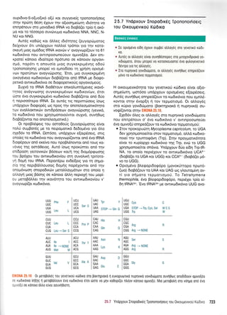 ouprdrvo-5-o(uo[rx6 o[ri r<or ouyyeve(g rpononor4oerg
orqv npdrq 05o4 51ouv r1v o[roor1;re(crrrrl rdr6rrlro vo
enmp6nouv oro povo6rrd IRNA vo 6roBd(er rp(o 11 or<6-
Uq Kor ro rdooepo ouvrilvul.ro ro6x6vro NNA, NNC, N-
NU xor NNG.
Aw5g roOc0g r<or dl}eg tdr6qreq (euyoprirprotog
6e(Xvouv 6rr undpXouv notrl.o[ rp6nor yro rqv Koro-
or<euq ptog o;166o9 IRNA u<ovri:v v' ovoyvrop((ouv ro 61
t<codtt<6vto nou owrnpoocone[ouv opuvo[6o. Aev ent-
rpore( rdnoro rdro(repo np6runo oe xdnorov opyovr-
o;16, nop6tt q onouo(o proq ouyKeKprprivrlg o6o0
rpononofioqg prnope( vo epno6(oer rn Xpion oprqr6-
vrov nporUnov ovoyvripror1q. 'Eror, pro ouyrexprpr6vrl
orroySvero rcodu<ov(rov droBd(eror on6 IRNA pe Srogo-
pertrd owxro6 rrdvro oe 6 ro<popetu<o ri g opyovLopro rj g.
IuXvd ro IRNA dro06touv enrrol,umdpeveg rxov6-
rqteg ovdyvoonq ouyKexprl.uivcov ro6tr<ov(otv, 6ror
riore rivq ouyxerprprdvo xr.o6rr6vro 6ropd(eror on6 6[o
11 neptoo6tepo IRNA. Ie ow5q lg neprmc0oerg (ocrrg
undpXouv drorpopdg oq npog rlv onoreleoporrr6rq'ro
rov evol,l,omu<rilv owrdpdoeolv ovoyv6proq g (yevrrd,
ro rodtx6vro nou XpnorponoroUwqr ouXvd, ouv{Ocog
droBd(owor nro onoreLeoprotxd.)
Or npoBl,6gerg tou ooro0orig (euyopriporog efvor
noL0 ouprBotdg ;re ro nerpol.rotrrd 6e6oprdvo yto 6Lo
oXe66v ro IRNA. Oqr6oo, undplouv e[otpSoerg, ong
ono(eg ro xro6rr6vto nou ovoyvop((owor on6 6vo IRNA
dtoE6pouv on6 ere(vo nou npoBLdnowor on5 rouq Kq-
vSveg qg omdOerog. Aur6 [oog npor0nrer on6 rqv
en(6poor1 yemovu<cilv Bdoeov Kor/ri rnq 6rog6pgoo4g
tou Bp6Xou rou owrxrodrrov(ou orrl ouvo).rx4 rprroro-
Wt 6opn rou IRNA. l-'lepottSpo ev6e[[erg yro rn onUo-
o(o rqg neprBdl},ouoog 6oprrlg nop6Xowot on6 rrlv
onop6vooq onopodxri:v preroMoyprfuov orcl ono(o 11
olr.l.oyri ptog Bdoqg oe xdnorq dMrl neproXrl tou prop[-
ou peroBdLLet ulv u<ov6rrlro rou owrrro6rr<ov(ou v'
ovoyvro p (er rcr:6 rr6vto.
GCU
2 5.7 Yndpxouv Inopo6rr6q lpononorlroerq
Tou OrKouu€vtKorj Ku)6rro
c Ie optou6vo ei6q 6Xouv ougper otr)royrig oro yevenrd rtirdr-
KO,
c Aur6q or drtroy6q etvor ouvrl06orepeq or0 pnoXovdprord yo-
vtduirporo, 6nou pnopei v0 KoTooKruoore[ 6vo rpu)oyeveux6
d6vrpo yro ilg otr)roy6g.
e Iro nupnvuo yovrduirgoro, ot otrtroy6q ouvn0oq enrlpeo(ouv
privo ro rodx6vro repponopou.
H ou<oupevrr6r4ro rou yoverrorl r<cbdu<q e(vor o(ro-
orlge(oq, coor6oo undpXouv oproprdveg e[orp6oerq.
Aur6g ouvrl0rrlg en4pe6(ouv ro xrodx5vro nou eprnl,6-
Kowor mrlv Svop[q ( rov tepgorropr6. Or o]}.oy6g
oro xripro yovr6rilproro (Borctrlprord q nuprlvu<d) ou-
voQ(owor or4v EIK0NA 25.10.
IXe66v 6Leg or otrl,oy6g oro nuprlvrKd yovt6uil;roro
nou enrtp6nouv o' 5vo r<o:6rr6vto v' owrTrpooroneUer
6vo ogtvo[ri enqped(ouv to rro6x6vto reppotrogo[:
o Irov nporopurirq Mycoplasma capricolum, ro UGA
6ev Xp4orponorekor orov repporr.opr6, oMd ro6xo-
noef r4v rpumoEdvq (Trp). Irrlv npoyporr5r4ro
e(vor ro r<up(opXo ro:6u<6vro qg Trp, evcb ro UGG
Xpnorponorefuor ondvrq. Yndplouv 611o ei64 TrptR-
NA, ro ono(o neprdxouv ro owu<rodrx6vto UCAe
(6roBd(er ro UGA xot UGG) ror CCAe (6roBd(er pr6-
vo ro UGG).
o OproUSvo Blegopr6orp6po (provor<rjrropo npot6-
(roo) 6roBd(ouv ro UAA r<or UAG rog ytrouro;r(vr1 ov-
r( yro orlproro repUorropori. To Tetrahymena
thermophila, 6vo Ble<popr6og6po, nep61a rp[o ei-
6n tRNAot". 'Evo tRNAGrn pe owx<o6rr6vro UUG qvo-
UUB 'n, ,IU:
"."INil,, 'iy33
,,,
UUt ,,, 'iUt
"''"
NUtt
sT0P-n',,,o
iUBt
sT0P-Trp'cvsser
cuu lccu lcAU p;q HICGU
ffi
.'' 'issl ".'isii::: :issl ^,'
919 !:1rryt i999 l:19 i:" itl tlgi:
AUU I ncu i RRu
^^^ ^,
i AGU
^--
AUa 1e r I ncc -u" , I AAC
utn * I AGC
ue'
AUA tte-ry6x1g IRCR ""'lAAA,,,^ ,, lRcR Rrg-N6NE
nud ii,r"rt
'''"'"M
i AaC I nno tv' K
!
roc nt[
WCS
W
3i3
*' D
GAA
^n^ Glu E
uAu
GUU
GUC ,,,
GUA
JiI:
GUG
GCC
v GCA ^'o ^
: trUU
GGU
GGC
GGA
GGG
Glv
1
i
, r:, -'i.: 0t peroBotr6q rou yeveruou r66txo oro porqproro fl euxopuolro nuprlvrro yovrdrrirporo ouv10otg onodr6ouv ogtvo[50
,. <oDtrovto Il(nS I geropotrtrouv evo rodtrovto 6rot 6ore vo Unv ro0op(er ntr6ov ronoro olrrvo[u. Mto Ueropotrn oro vorlgo ono evo
,- ,,0[u oe ronoro otrtro elvor oouvl0Loq.
25"? YnopXouv Inopodrreg TpononoLrloerg rou 0rxoupevrxou Krrrdrx: 723
Boorxeq eworeq
G
 